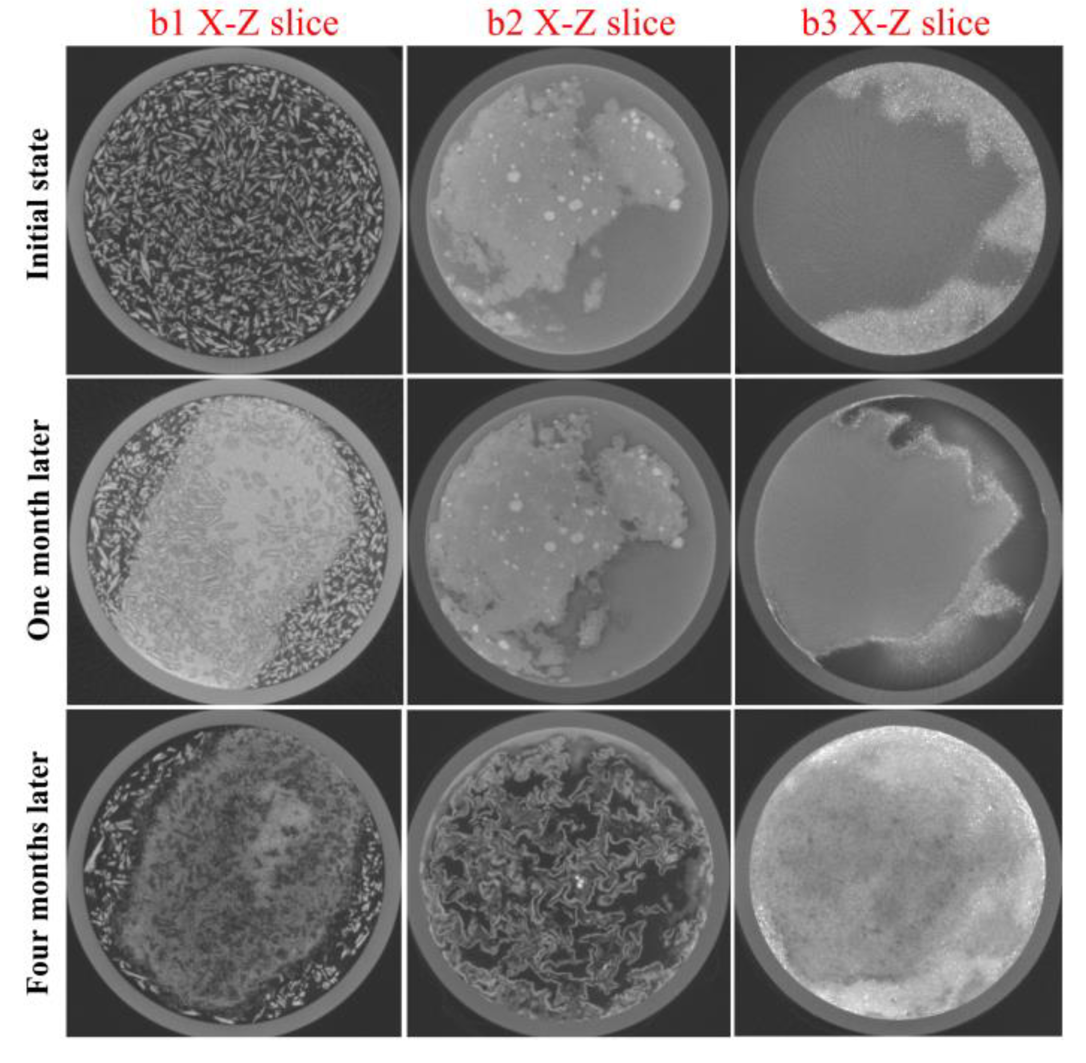 Molecules 28 04933 g006