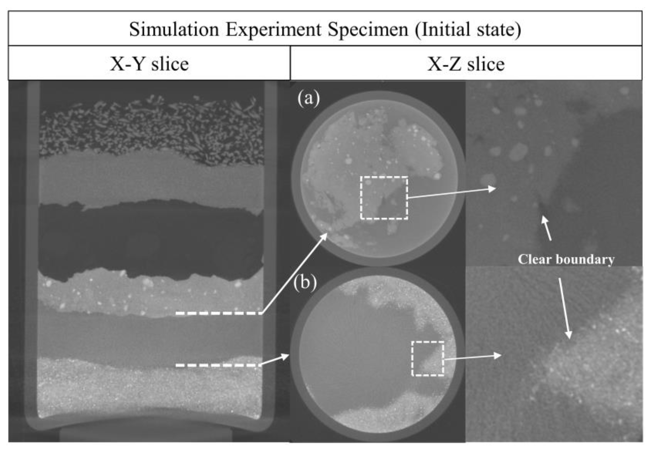 Molecules 28 04933 g007