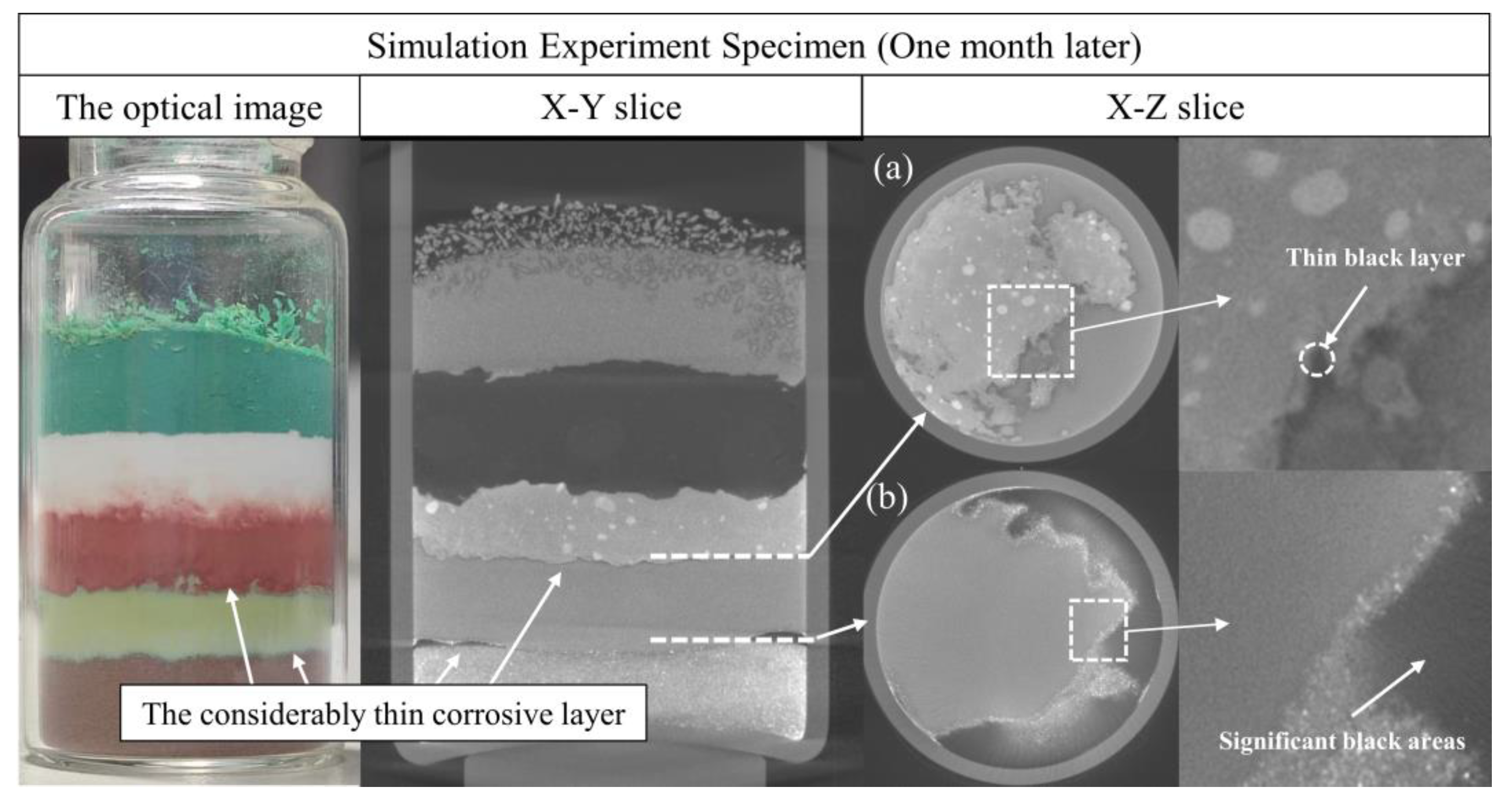 Molecules 28 04933 g008