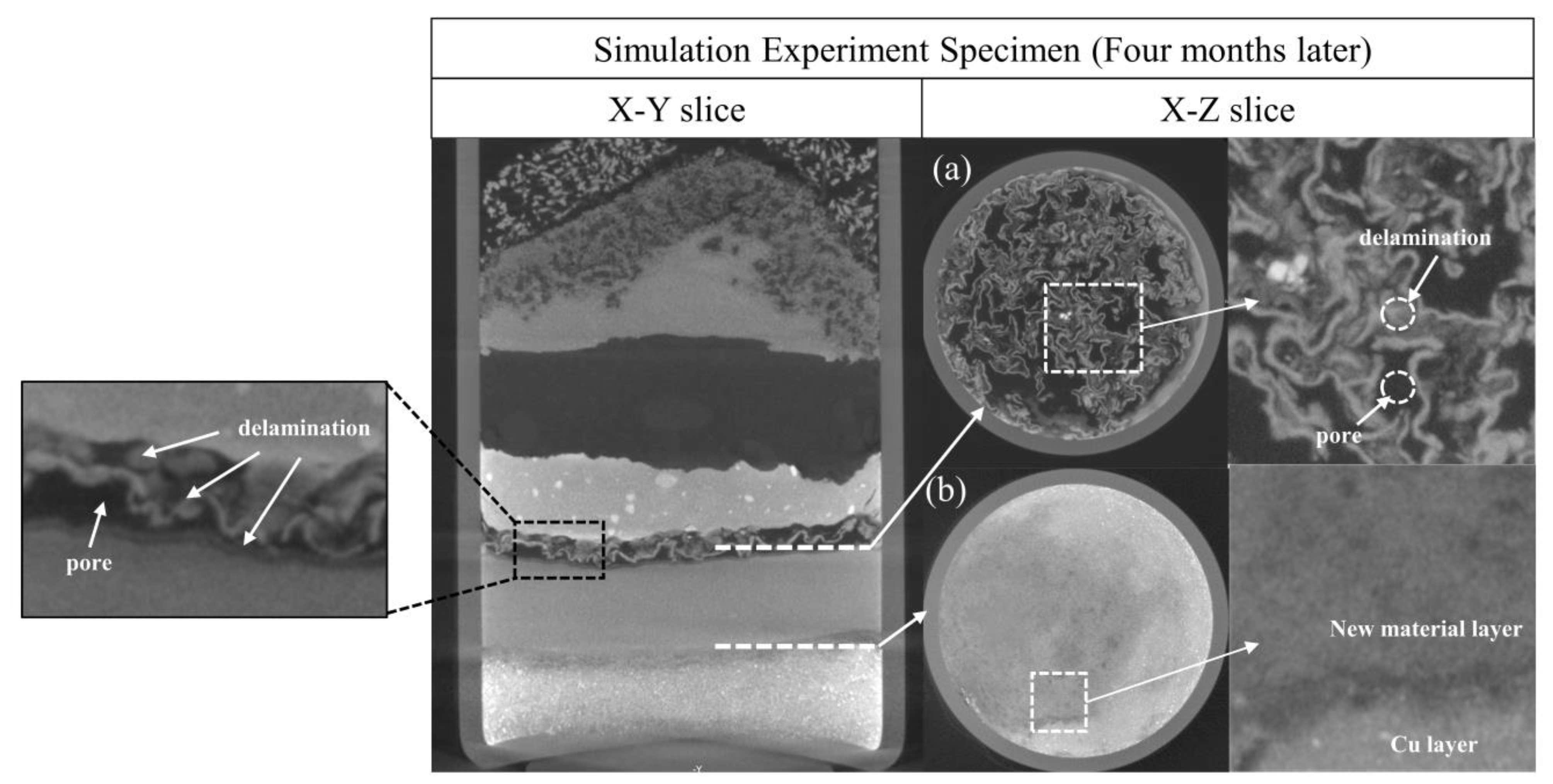 Molecules 28 04933 g009