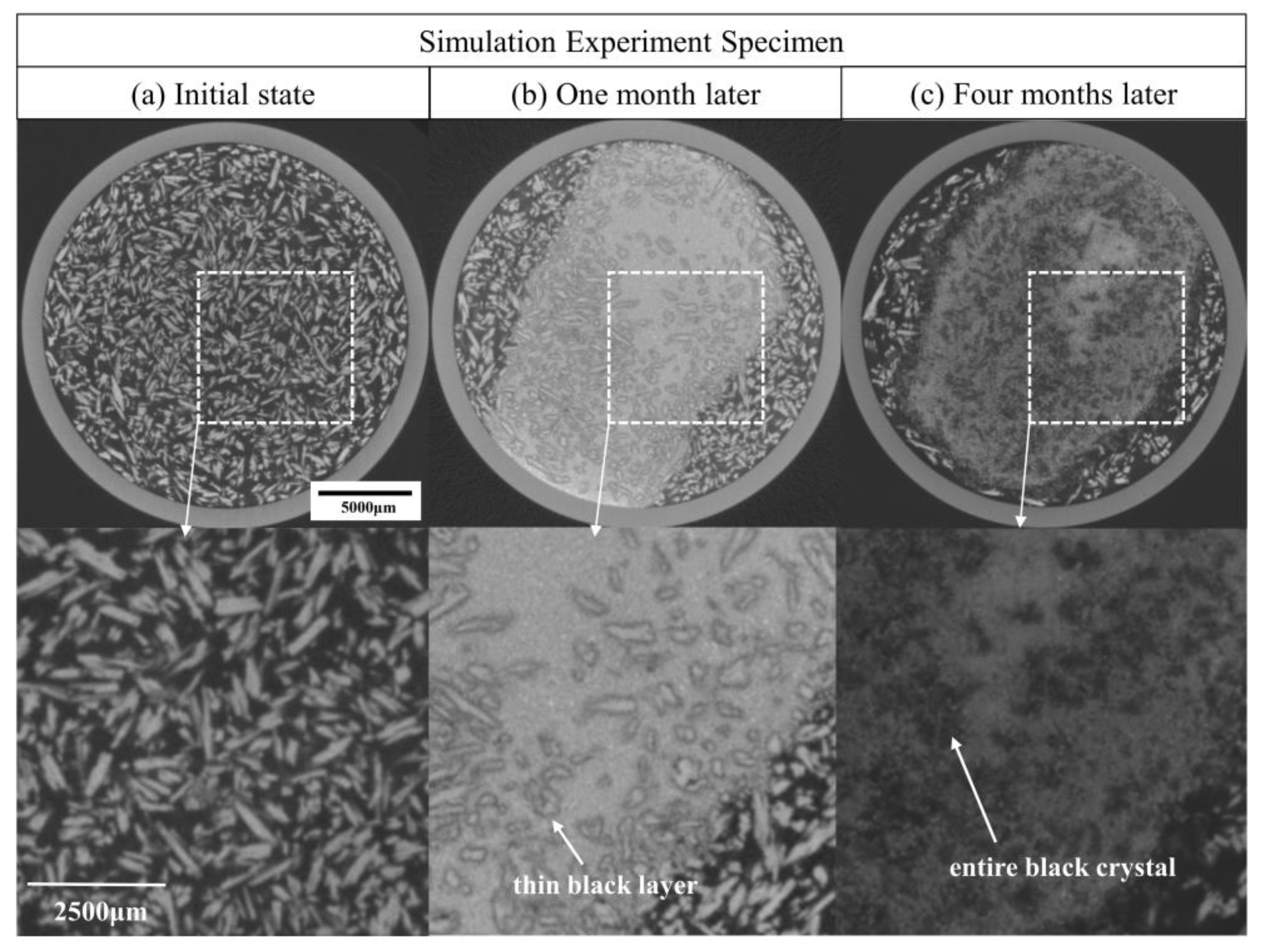 Molecules 28 04933 g010