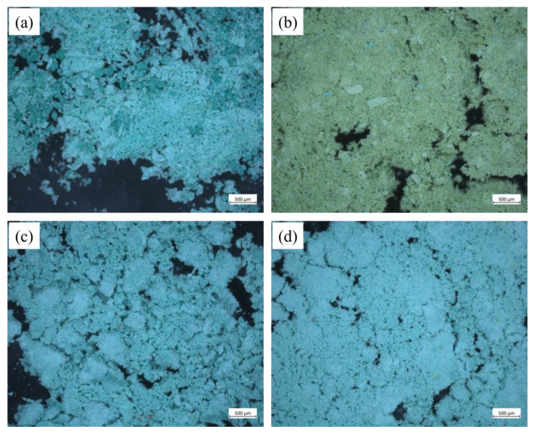 Molecules 28 04933 g012