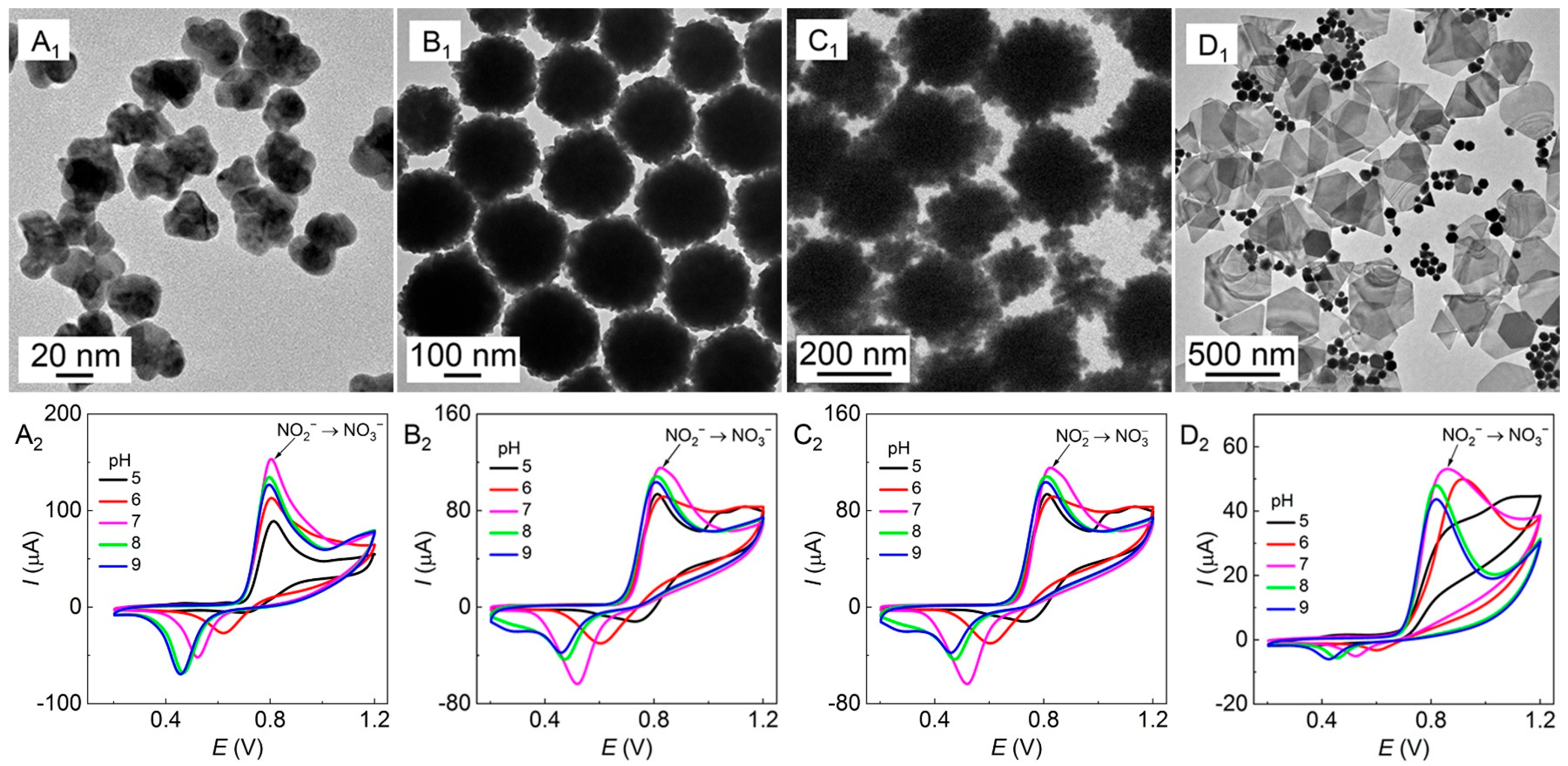 Molecules 28 04934 g004