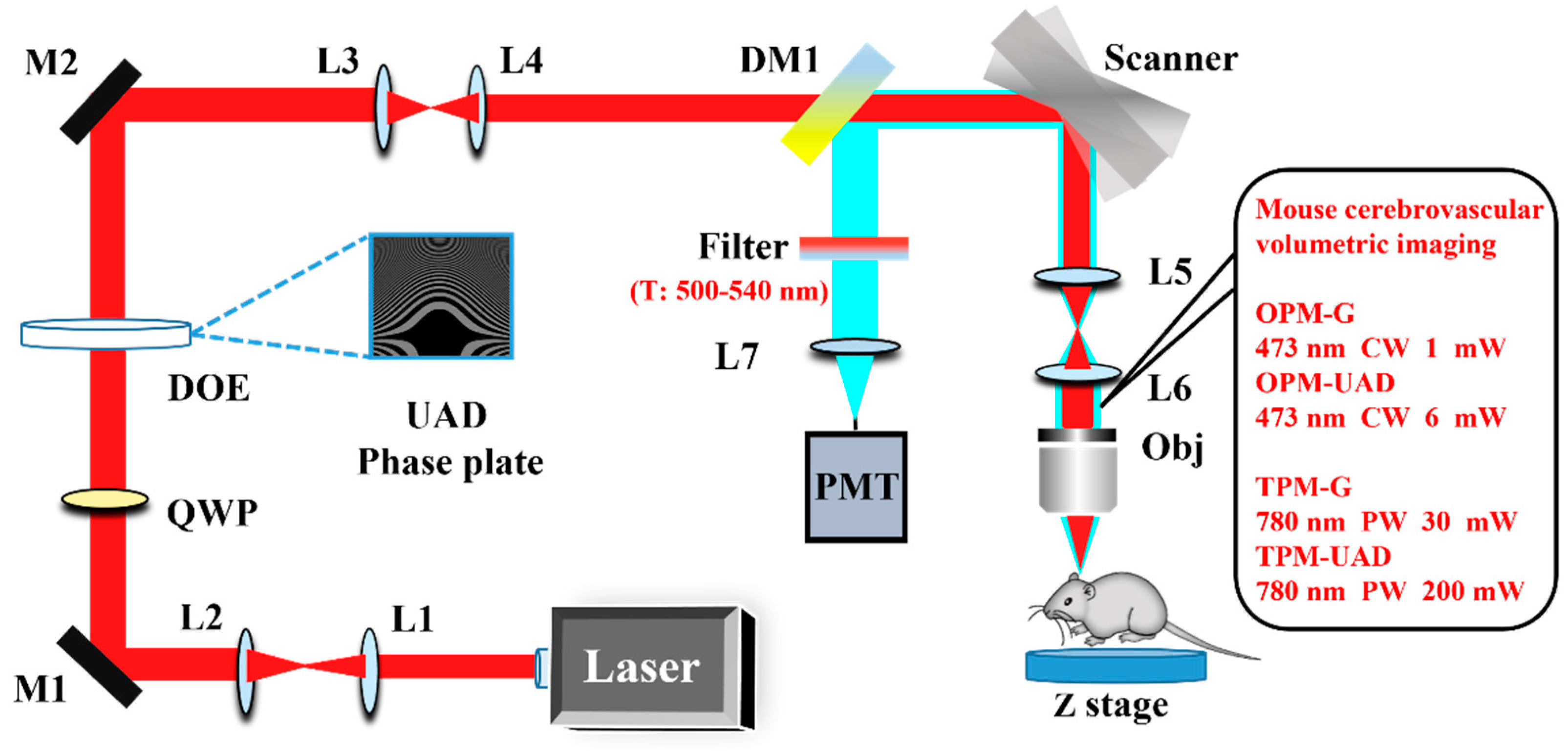 Molecules 28 04936 g001
