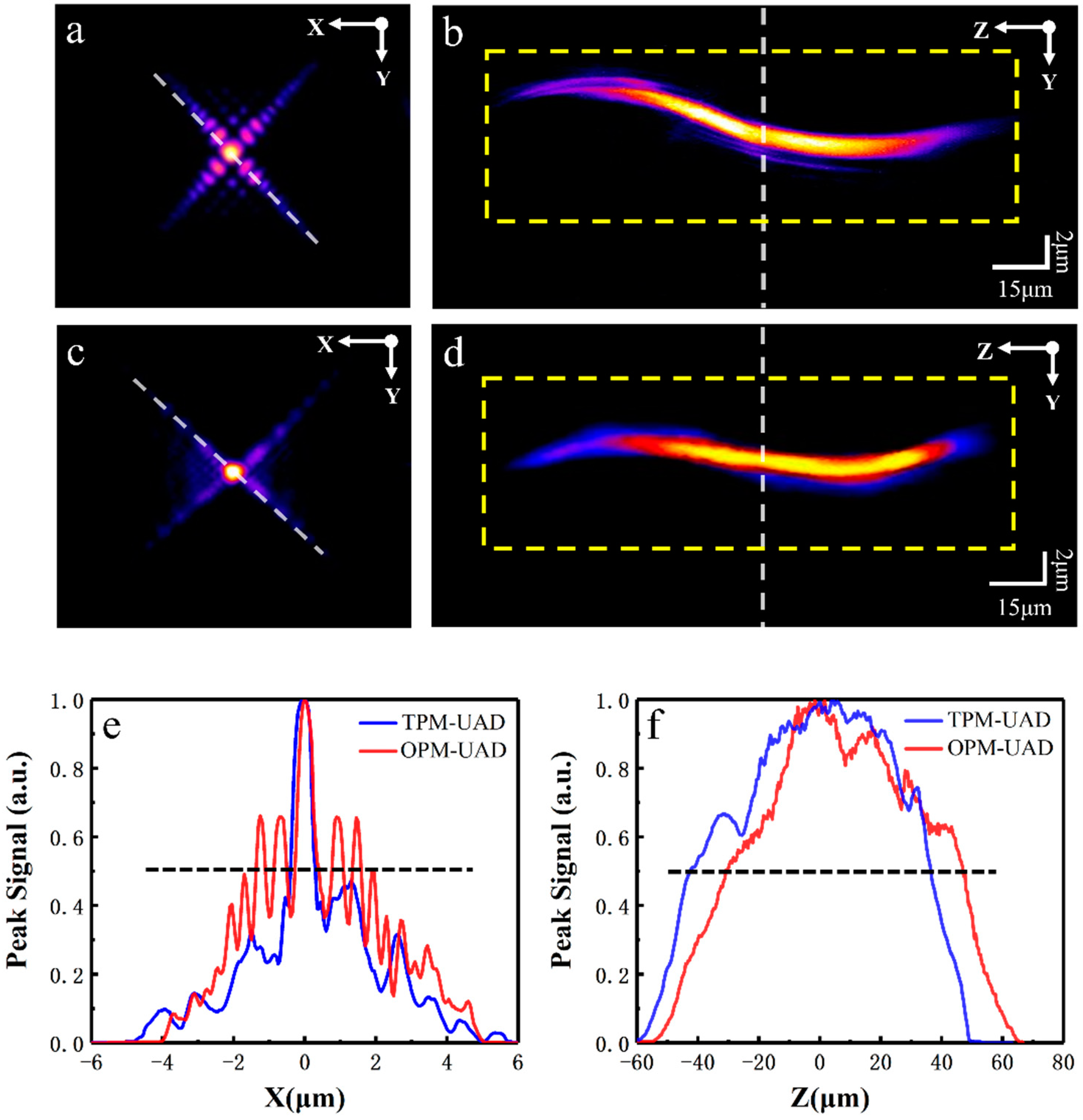 Molecules 28 04936 g002