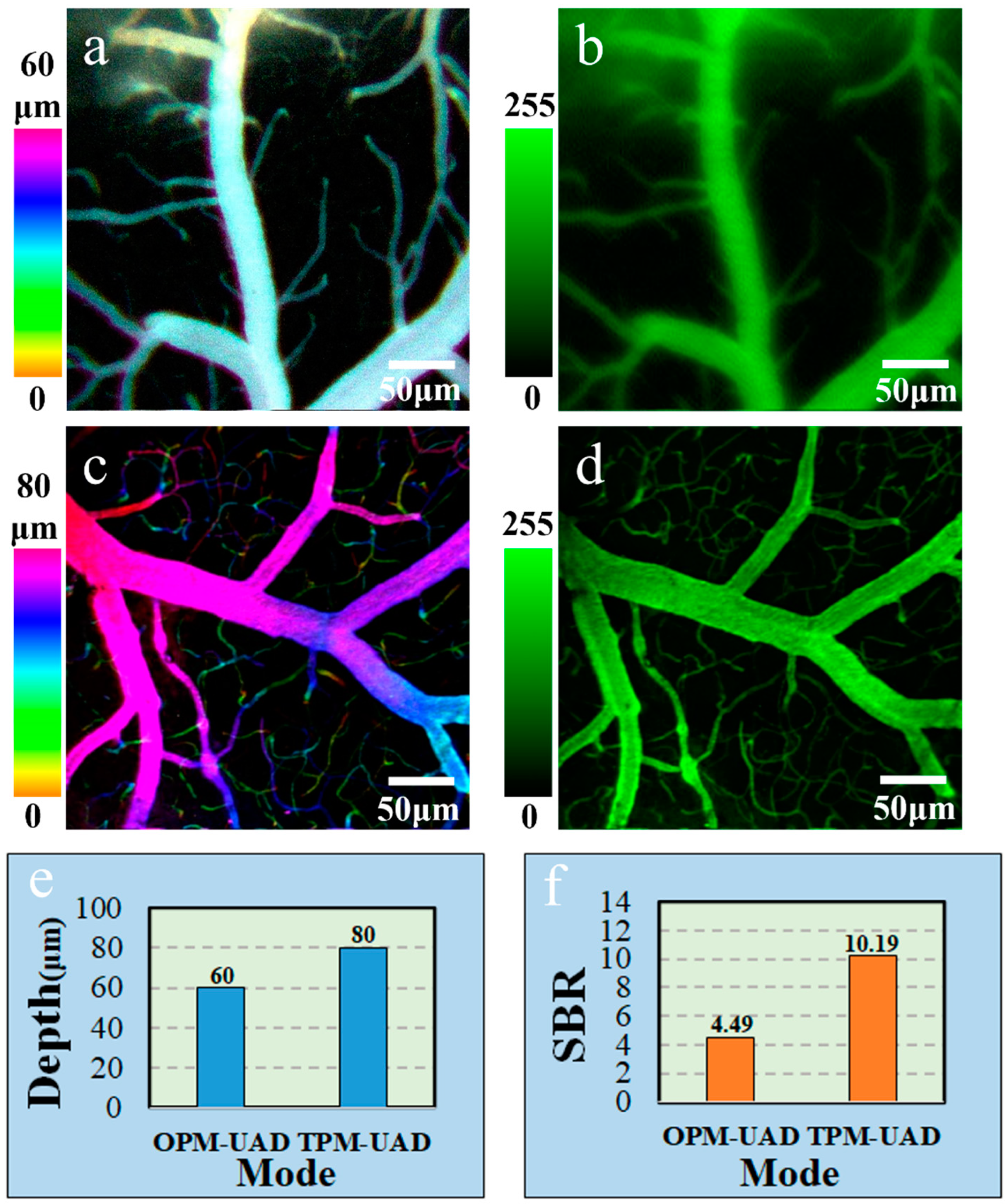 Molecules 28 04936 g003