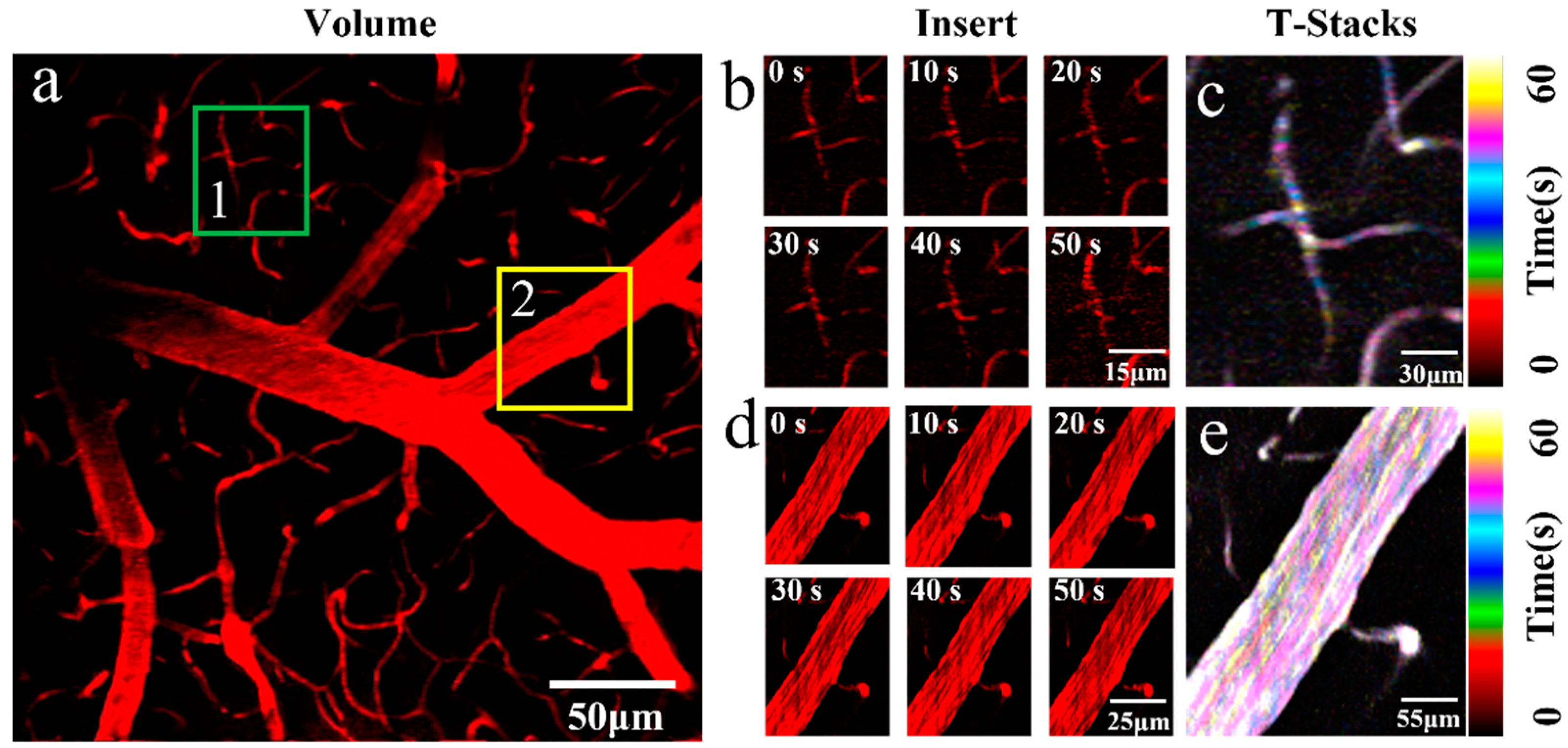 Molecules 28 04936 g004
