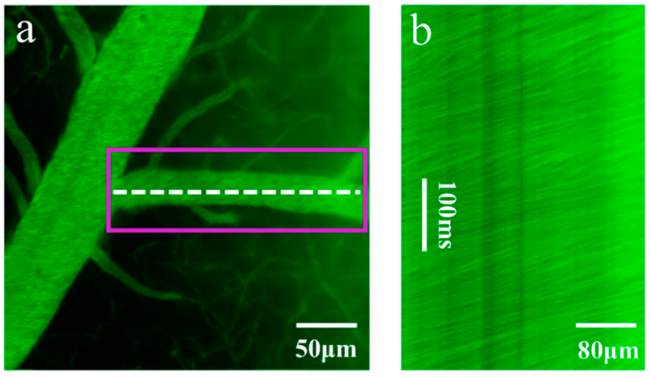 Molecules 28 04936 g005