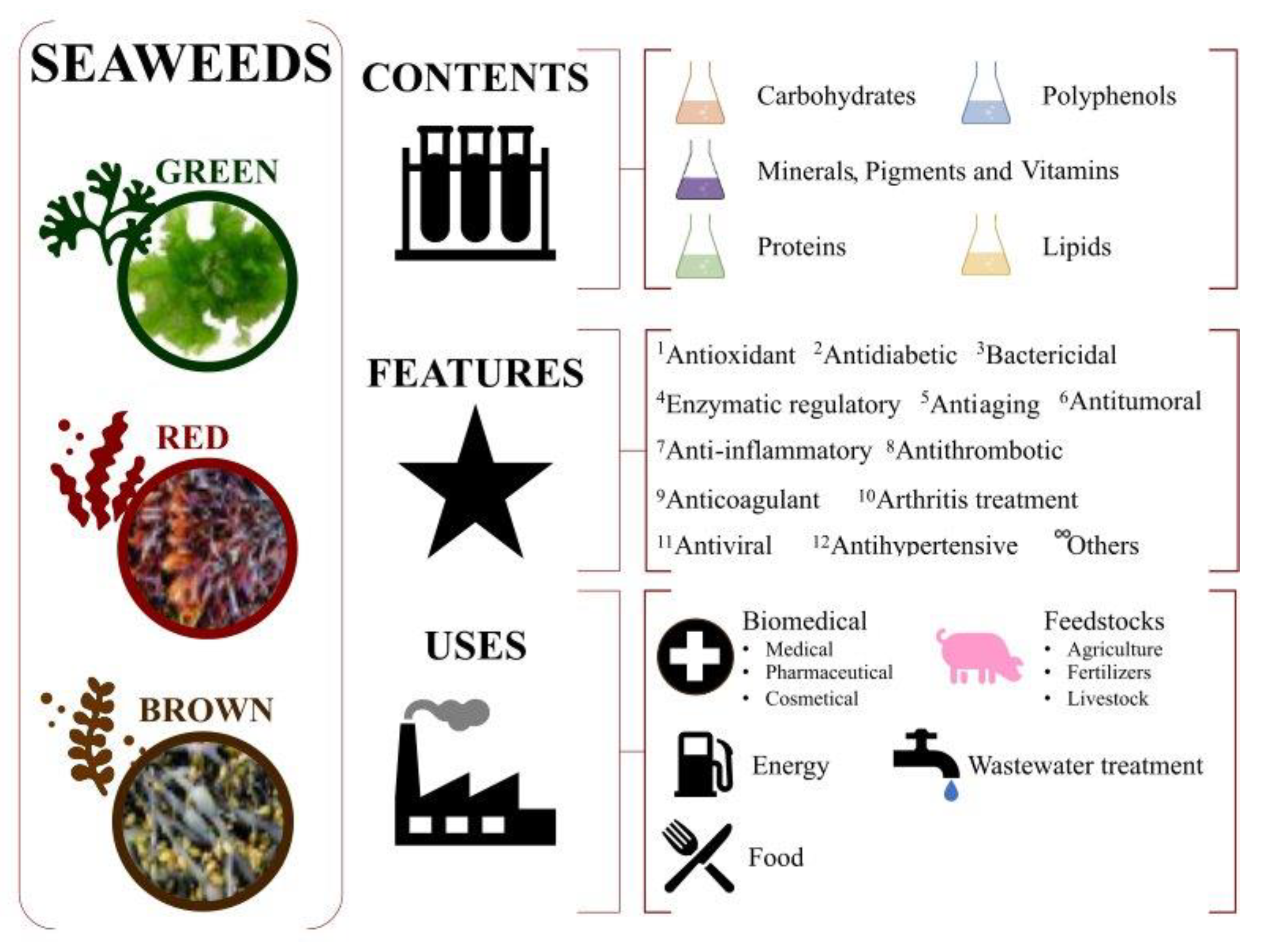 Molecules 28 04937 g001