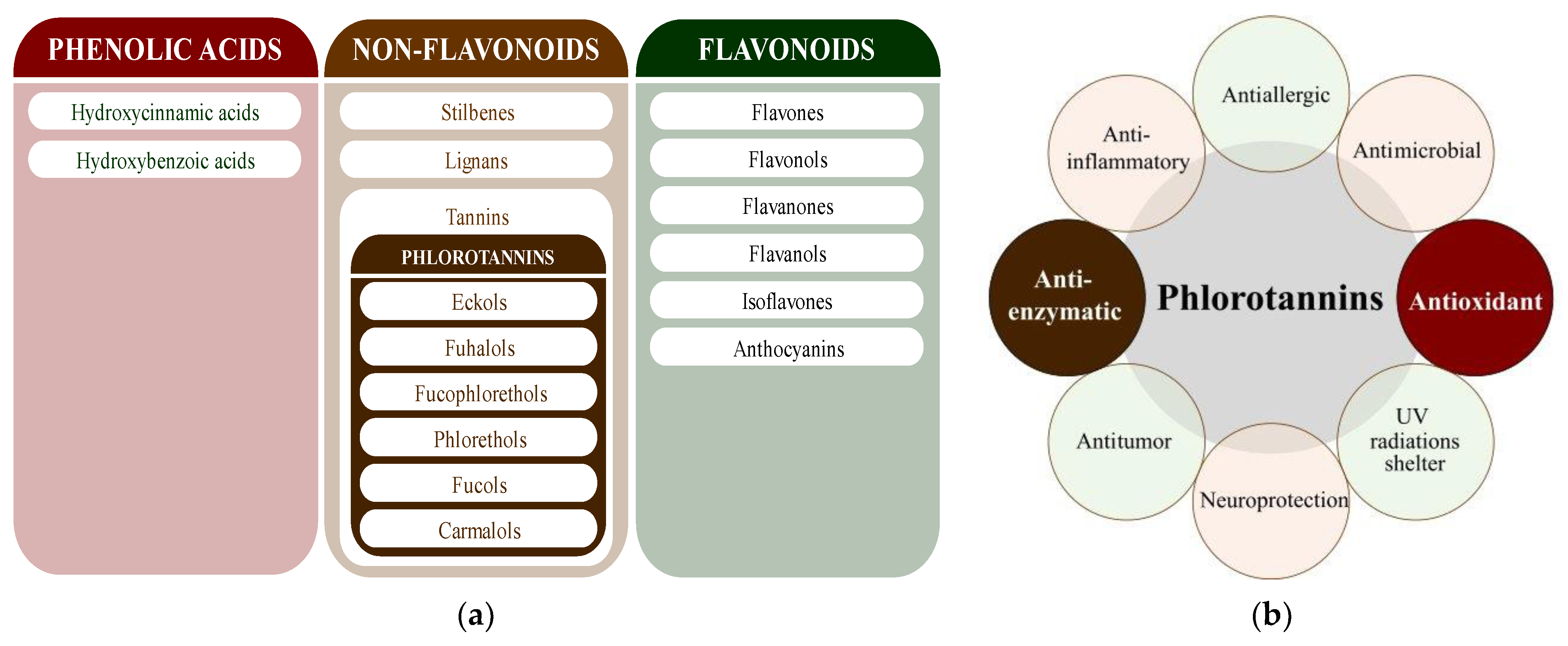 Molecules 28 04937 g003