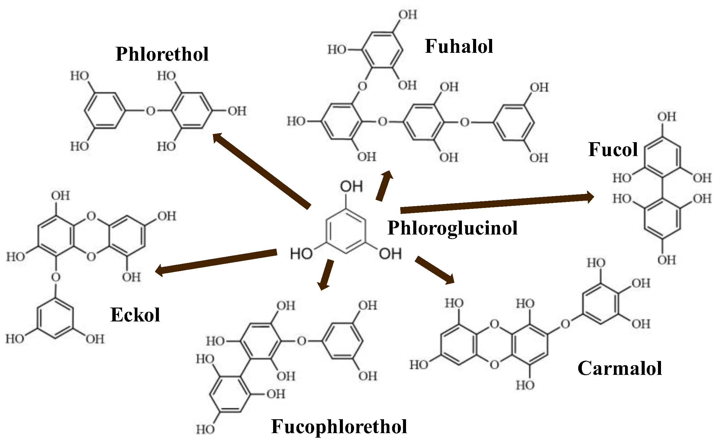 Molecules 28 04937 g004