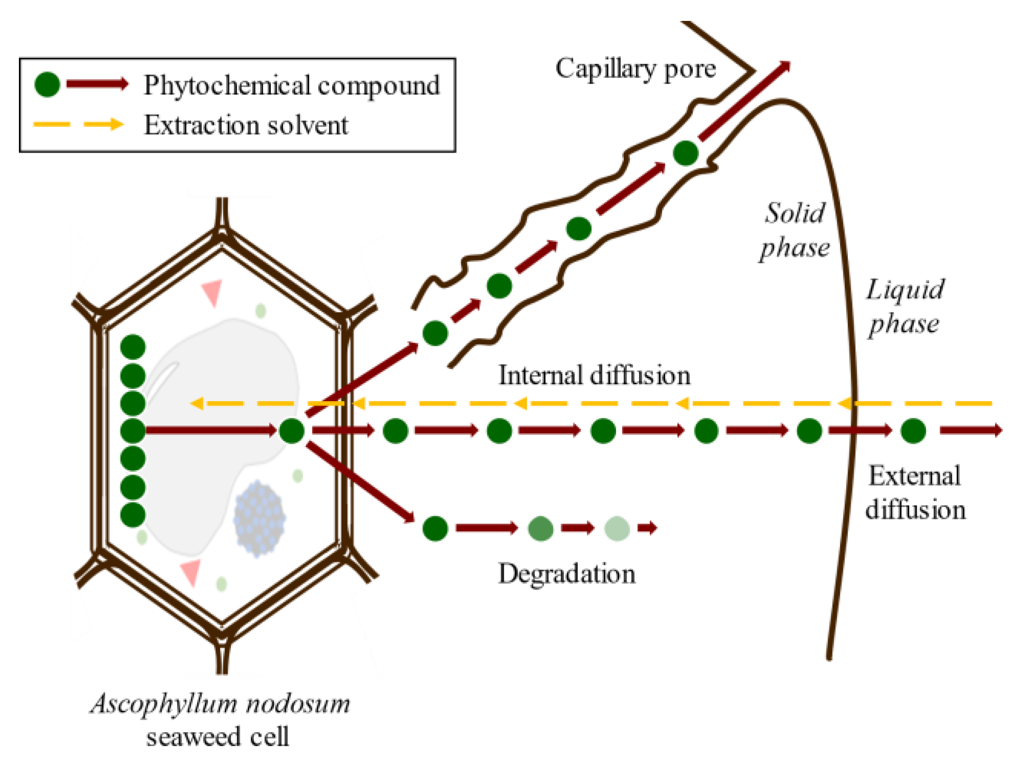 Molecules 28 04937 g006