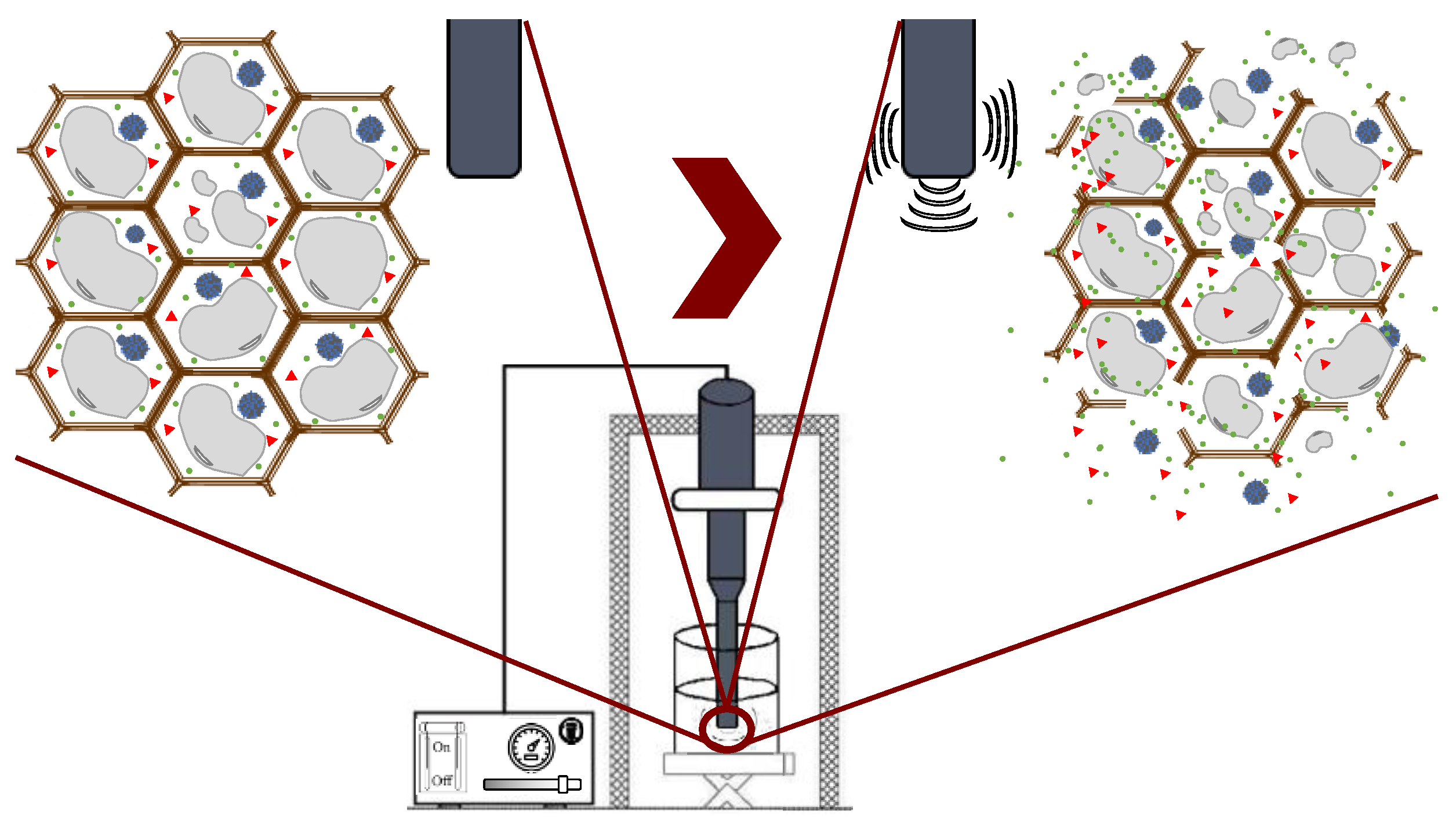 Molecules 28 04937 g007