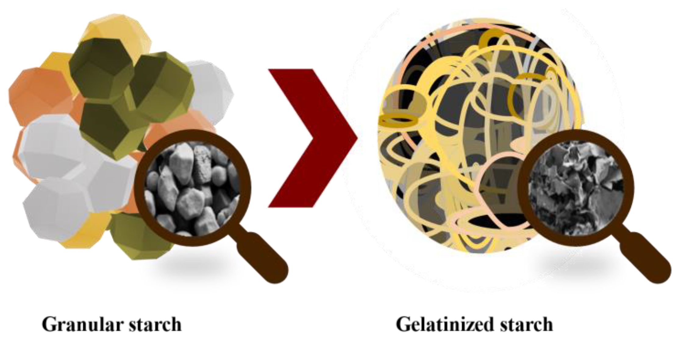 Molecules 28 04937 g010
