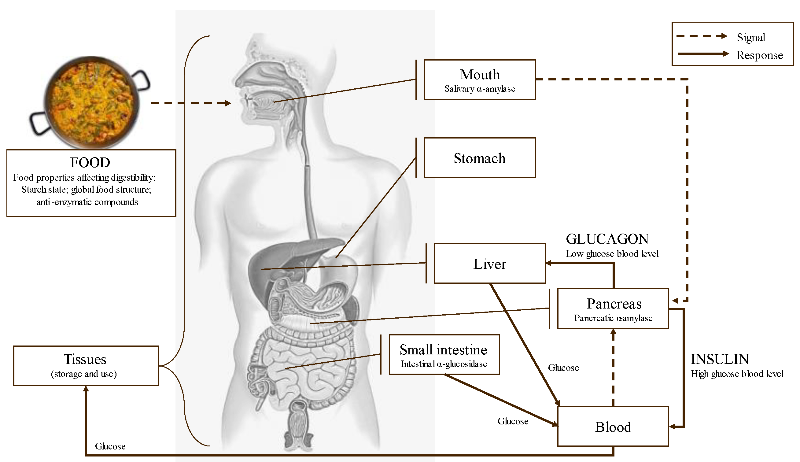 Molecules 28 04937 g011