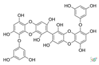 Molecules 28 04937 i004 Molecules 28 04937 i004