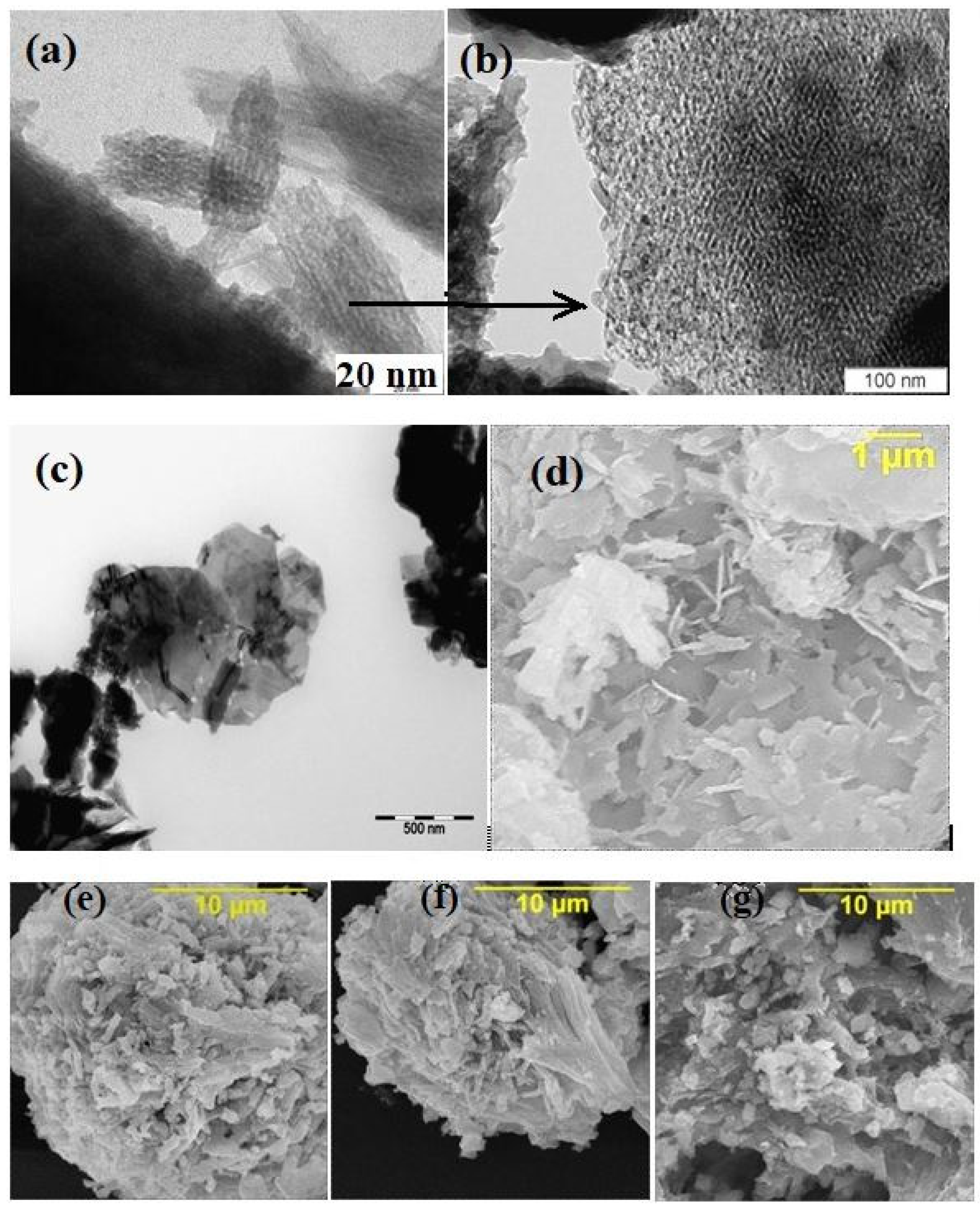 Molecules 28 04945 g001
