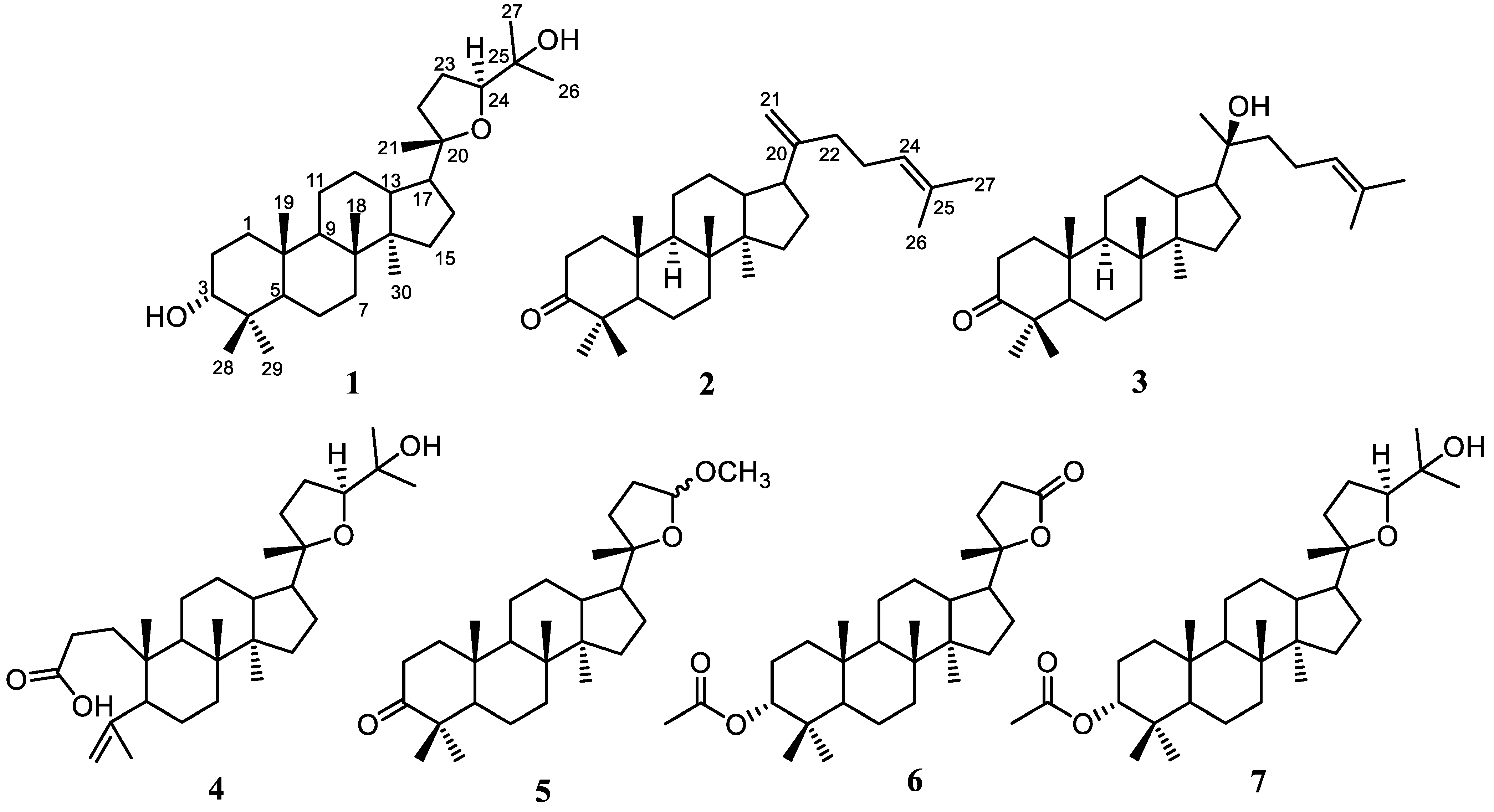 Molecules 28 04946 g001
