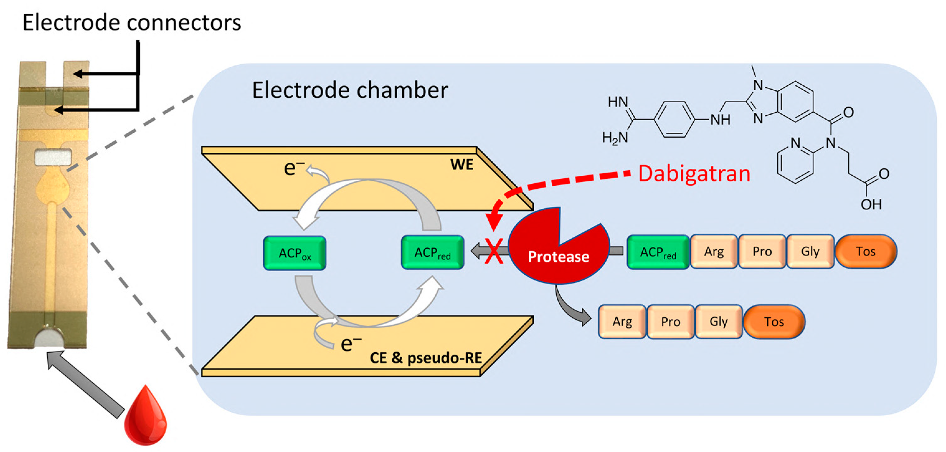 Molecules 28 04953 sch001 Molecules 28 04953 sch001