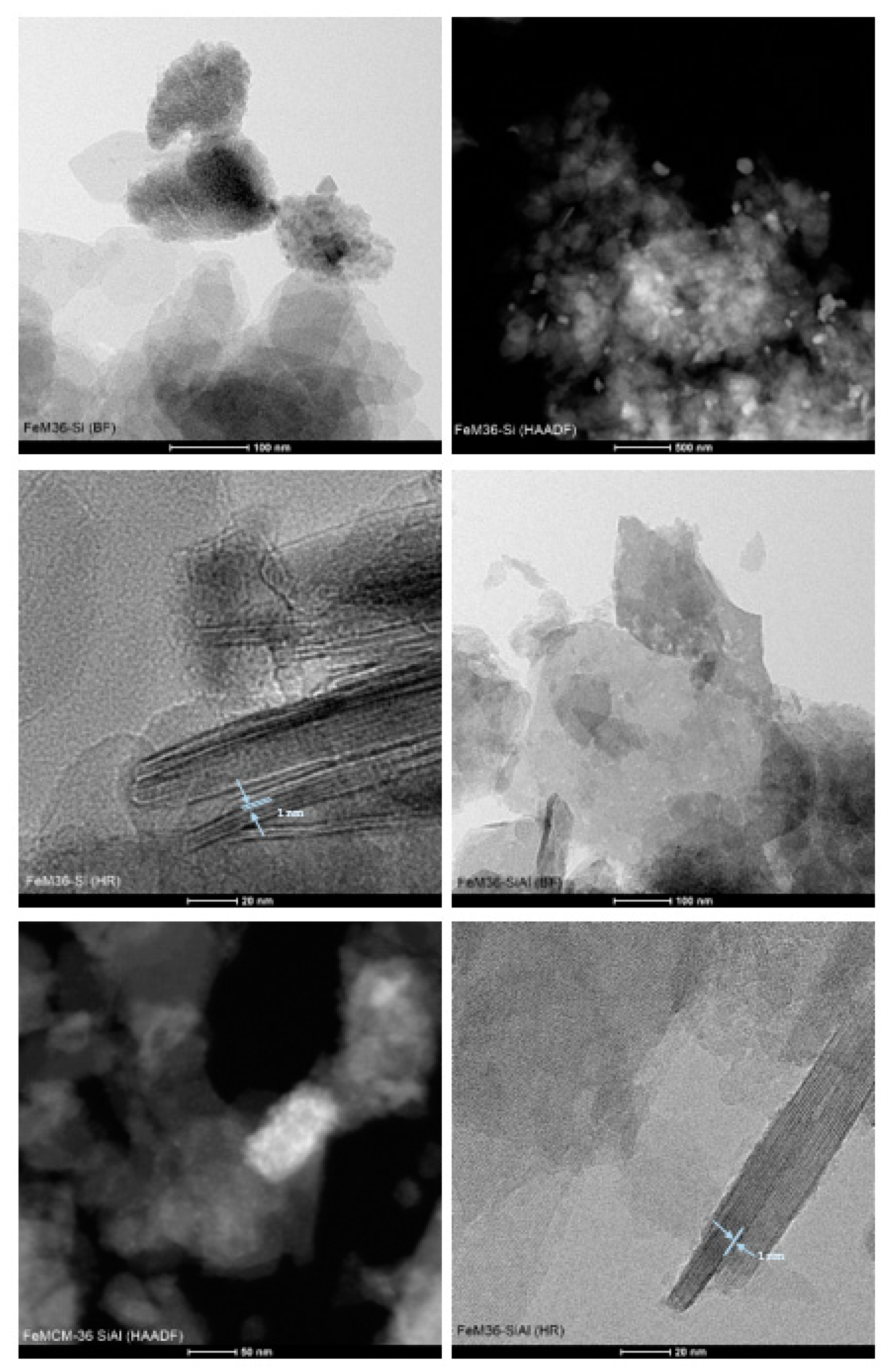 Molecules 28 04960 g005b