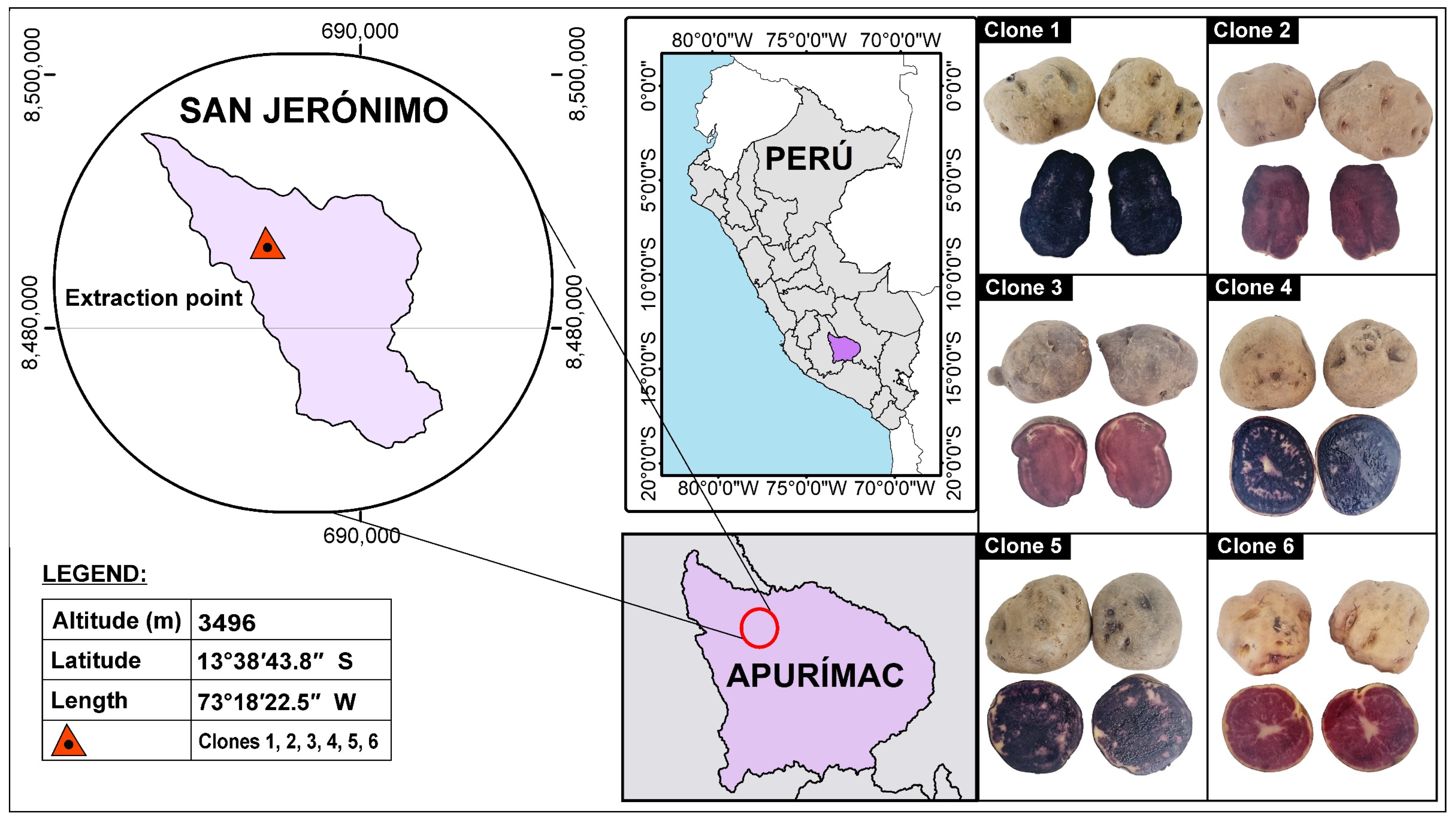 Molecules 28 04961 g006