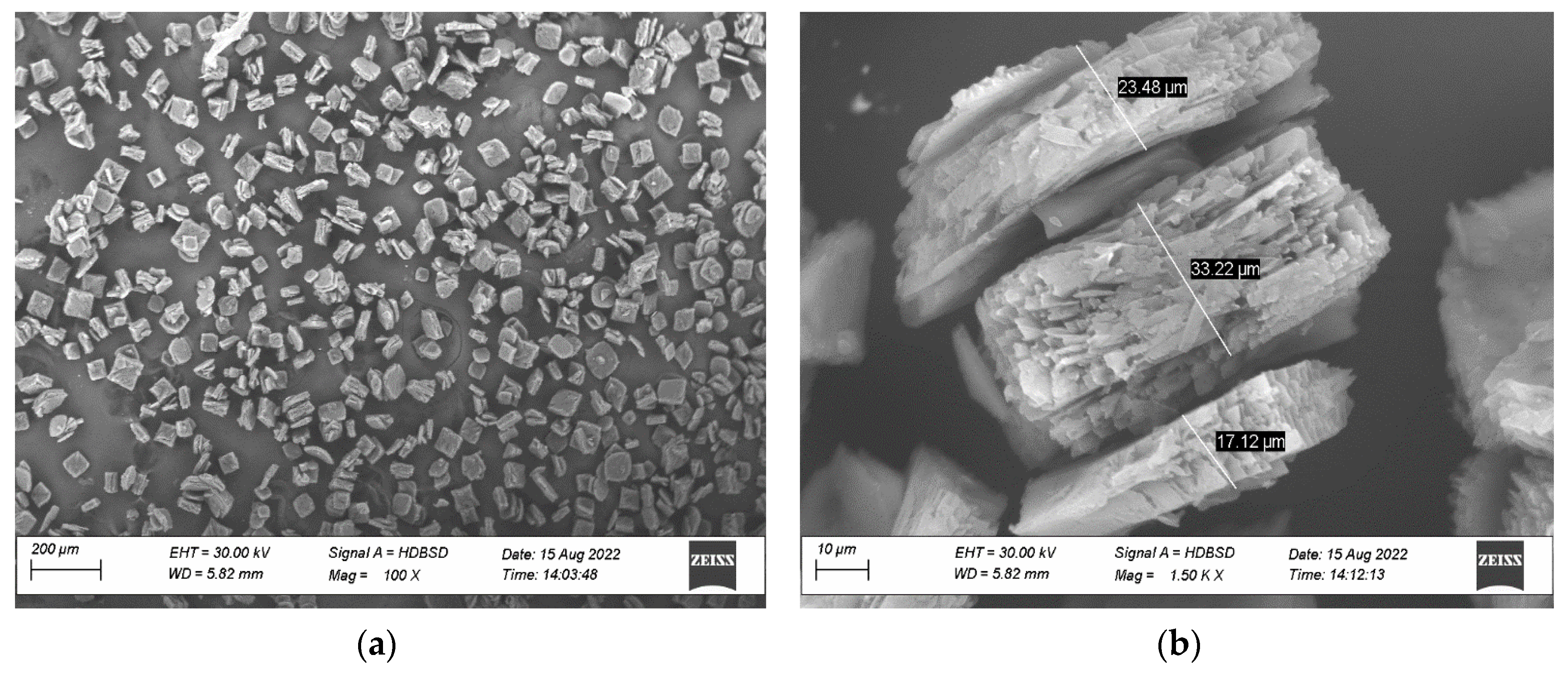 Molecules 28 04962 g001