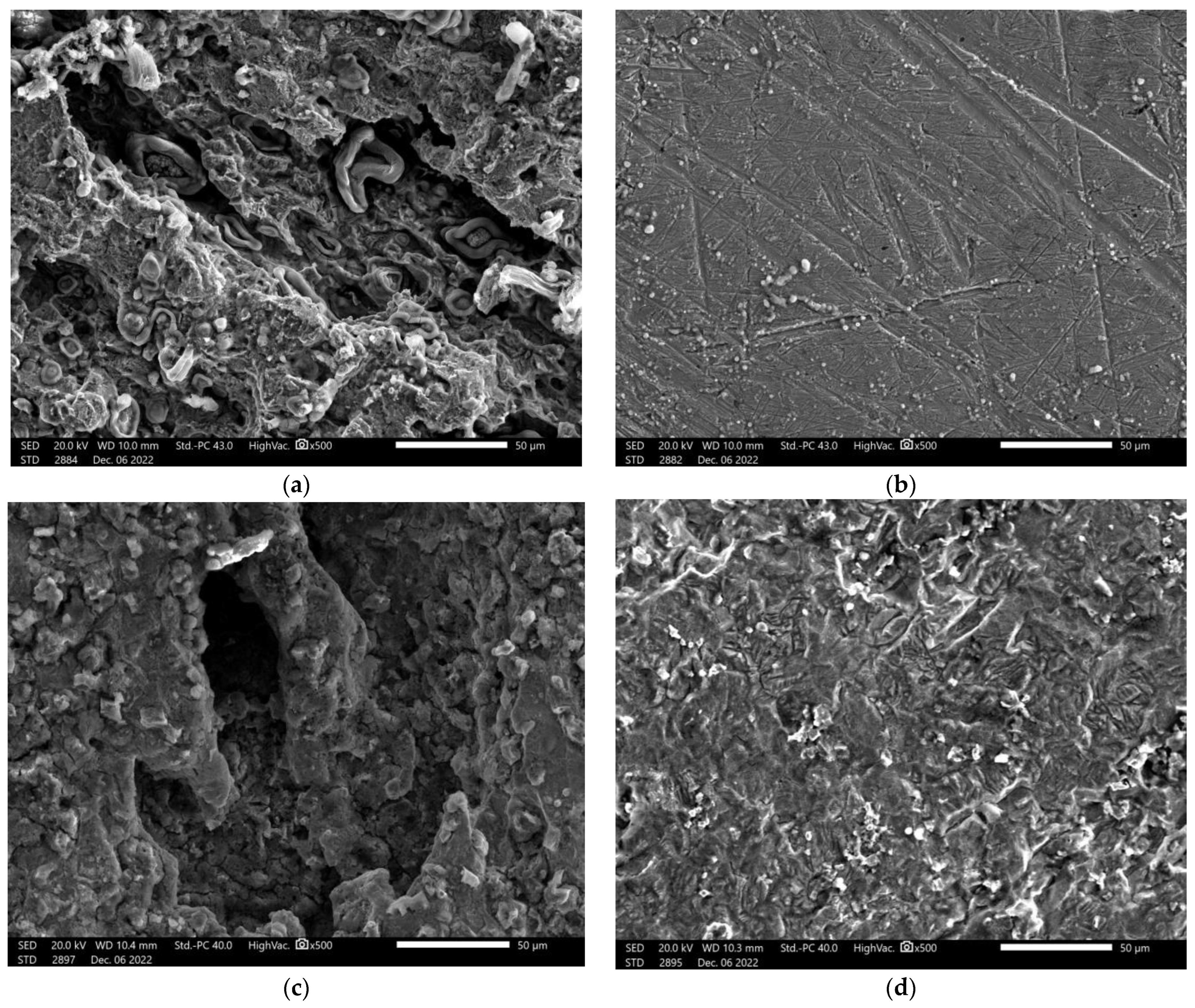 Molecules 28 04962 g009