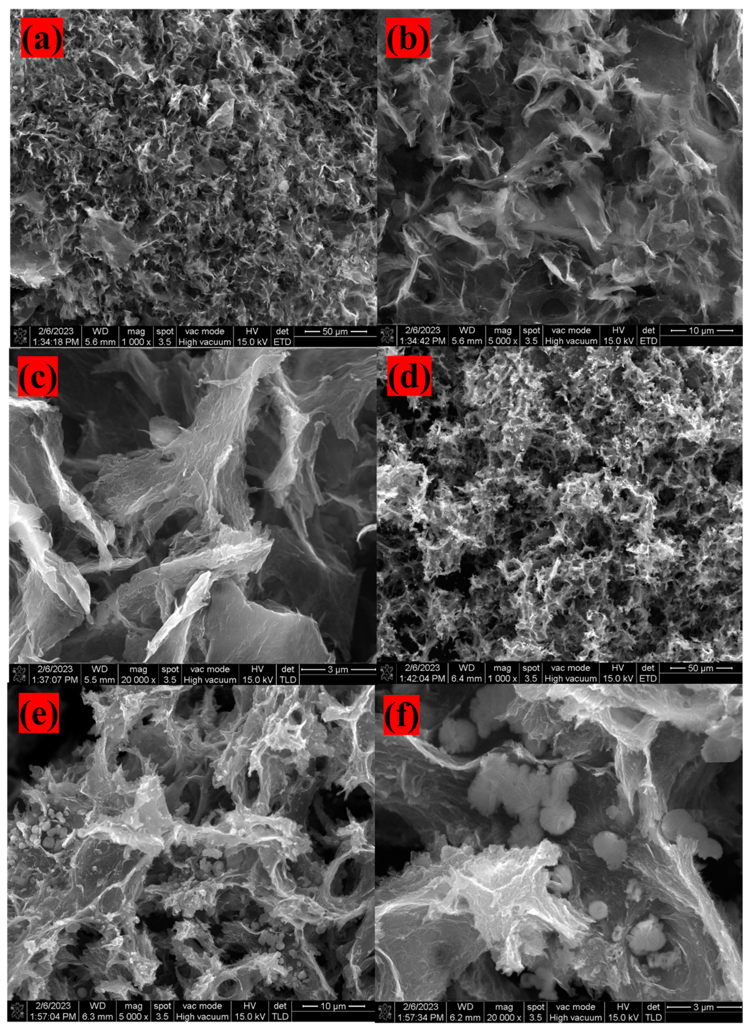 Molecules 28 04964 g005