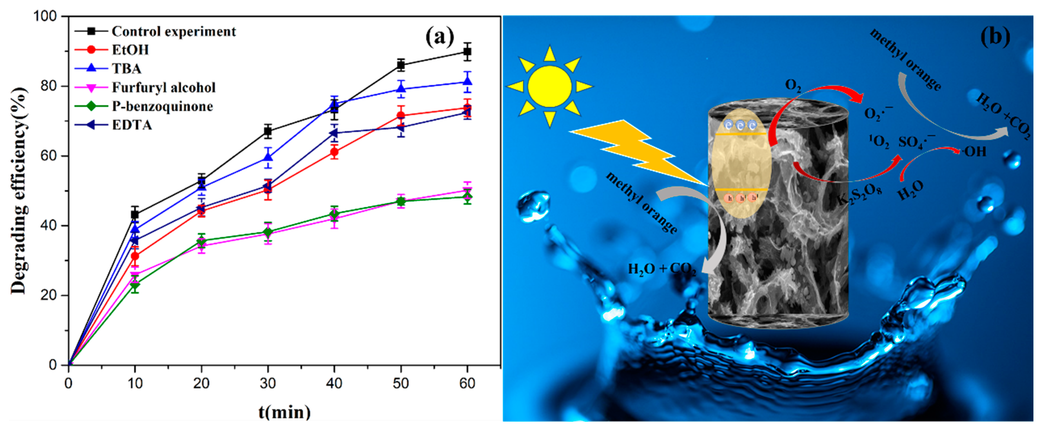 Molecules 28 04964 g010