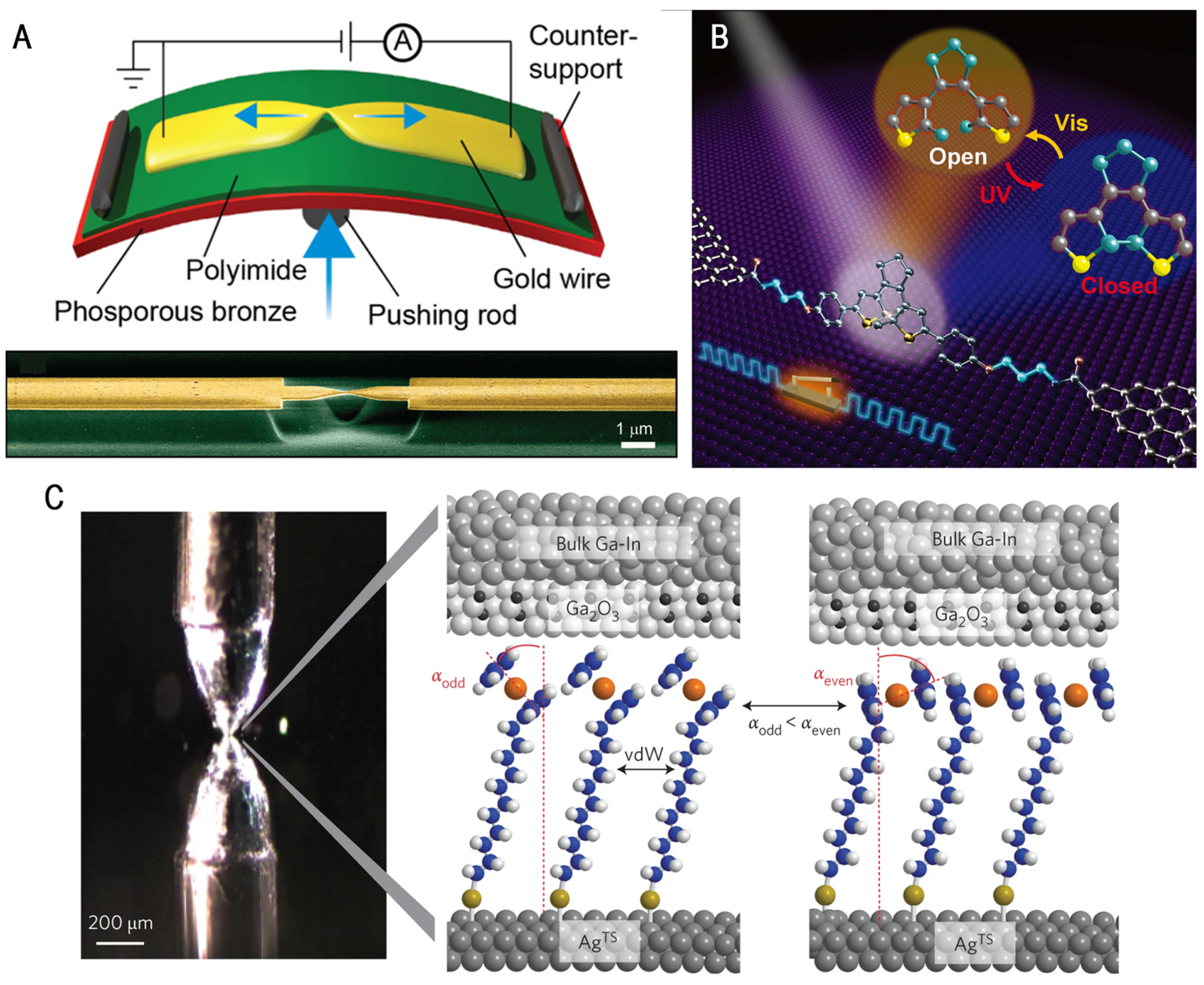 Molecules 28 04968 g001