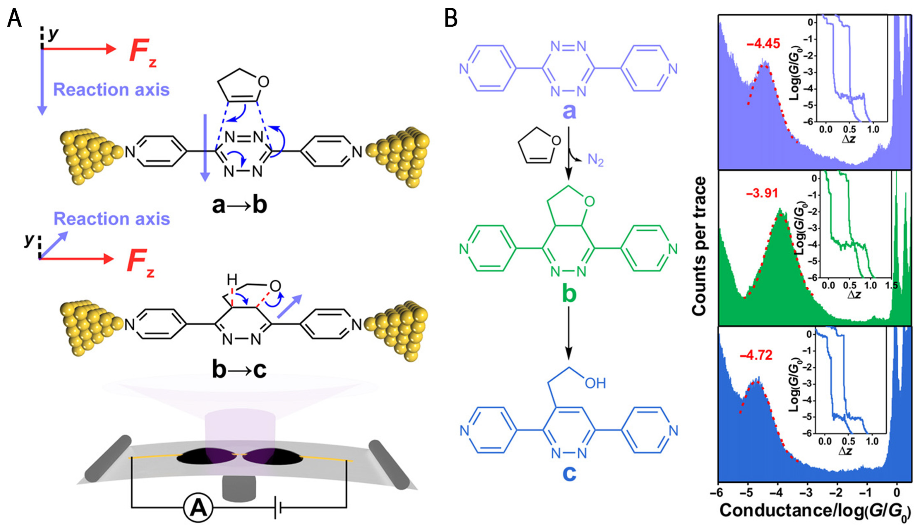 Molecules 28 04968 g005