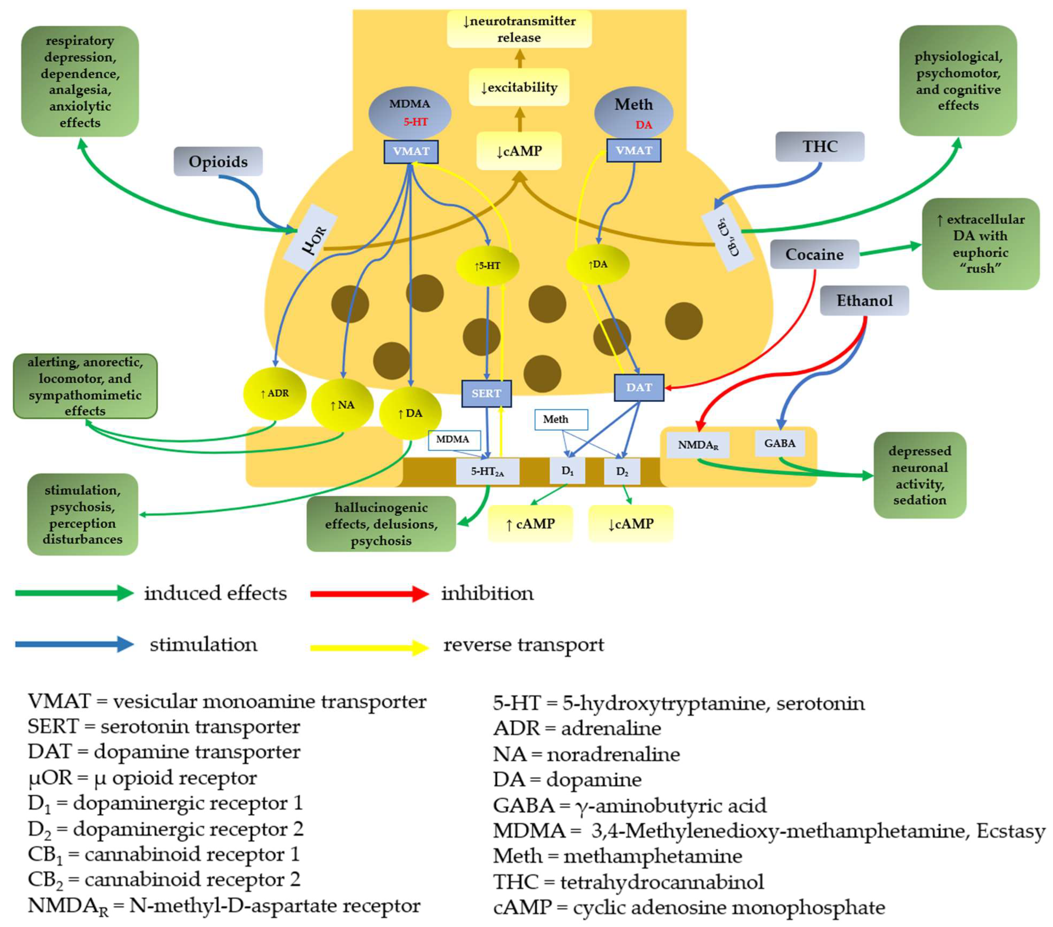 Molecules 28 04969 g001
