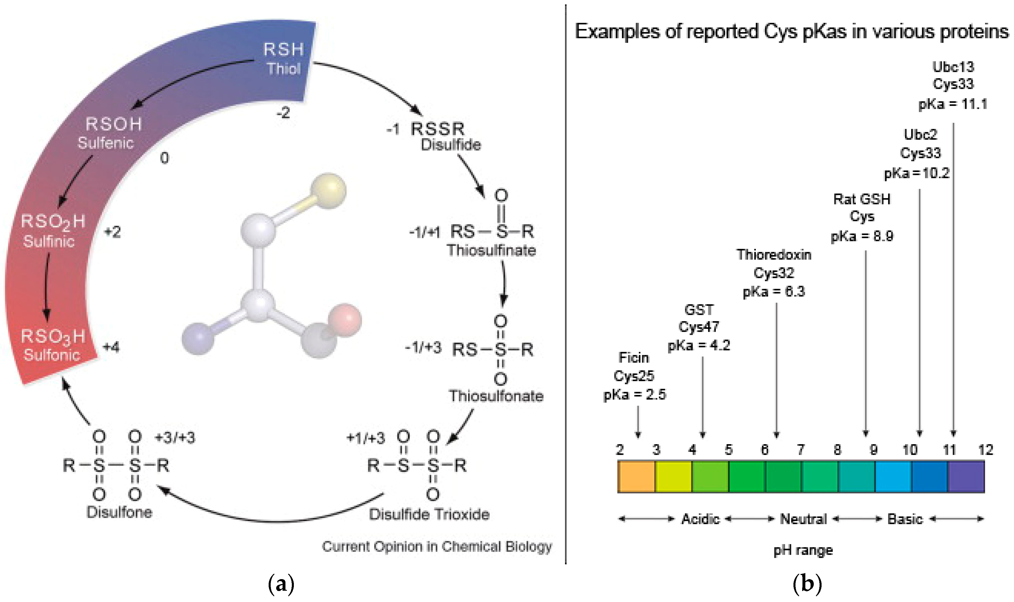Molecules 28 04970 g001