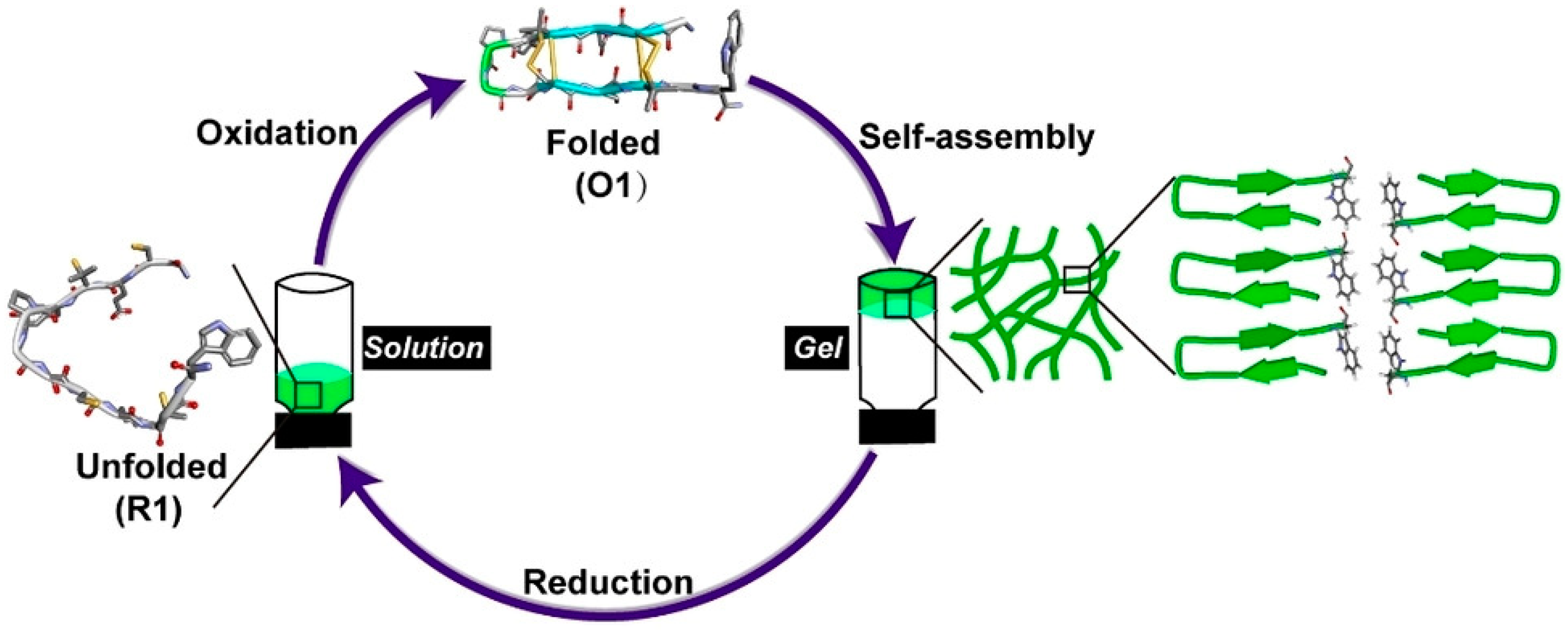 Molecules 28 04970 g002
