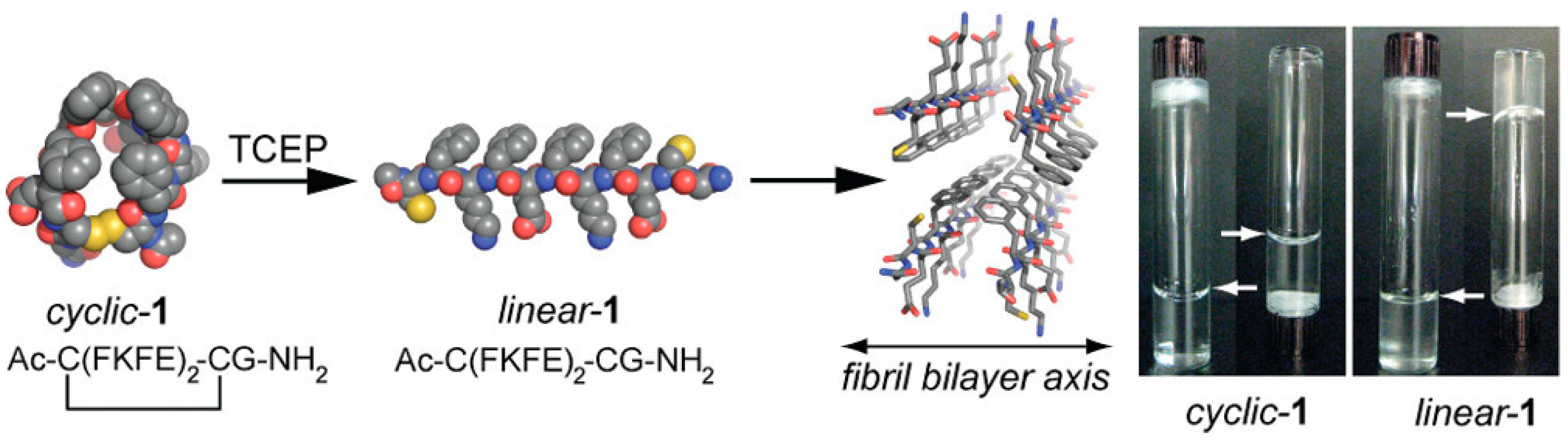 Molecules 28 04970 g003