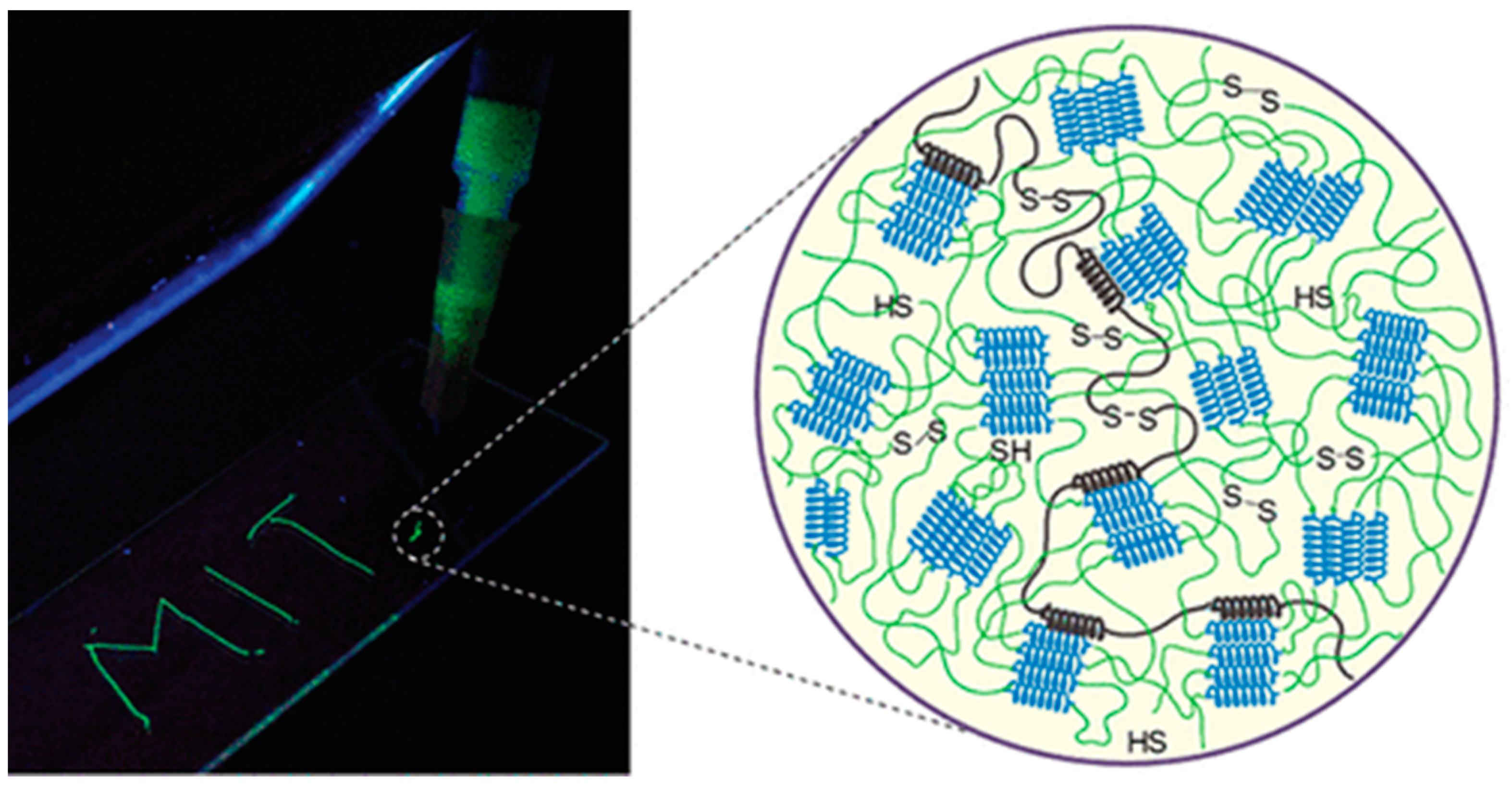Molecules 28 04970 g005