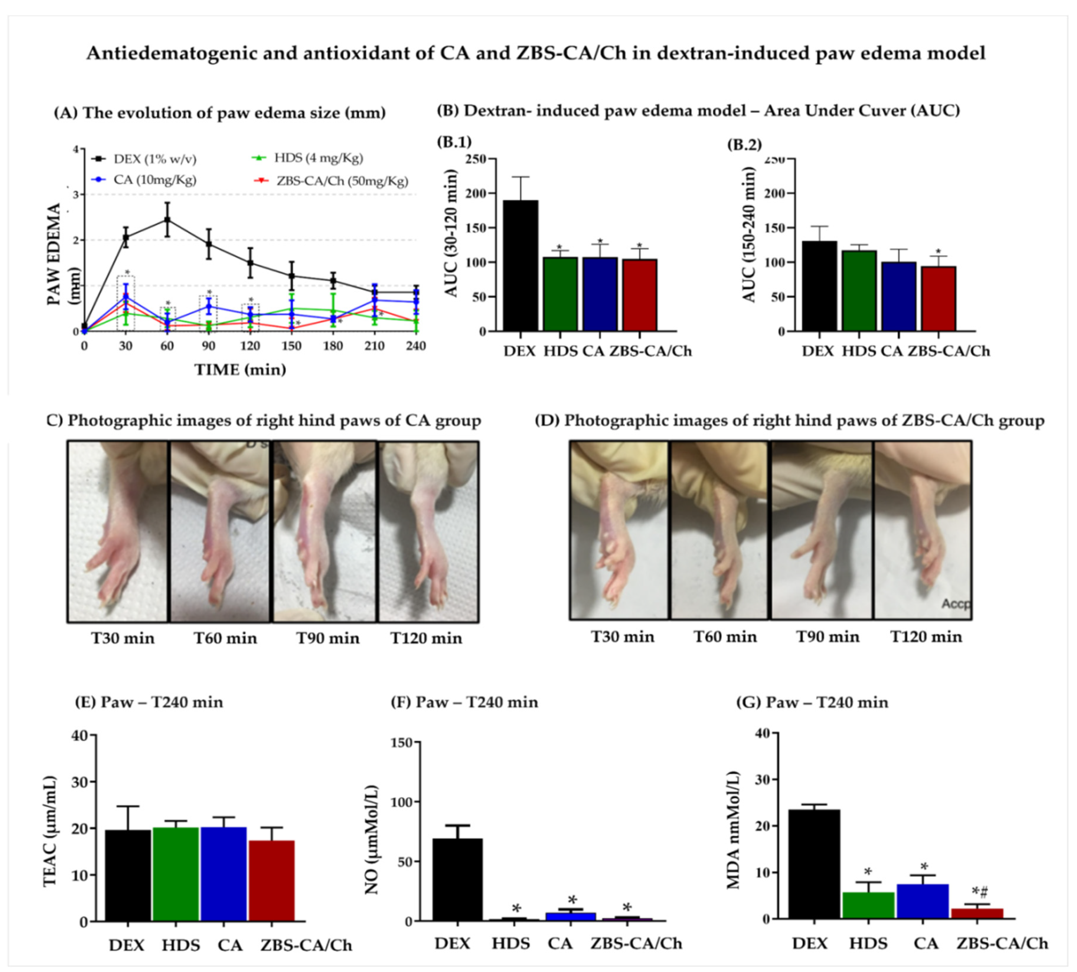 Molecules 28 04973 g005