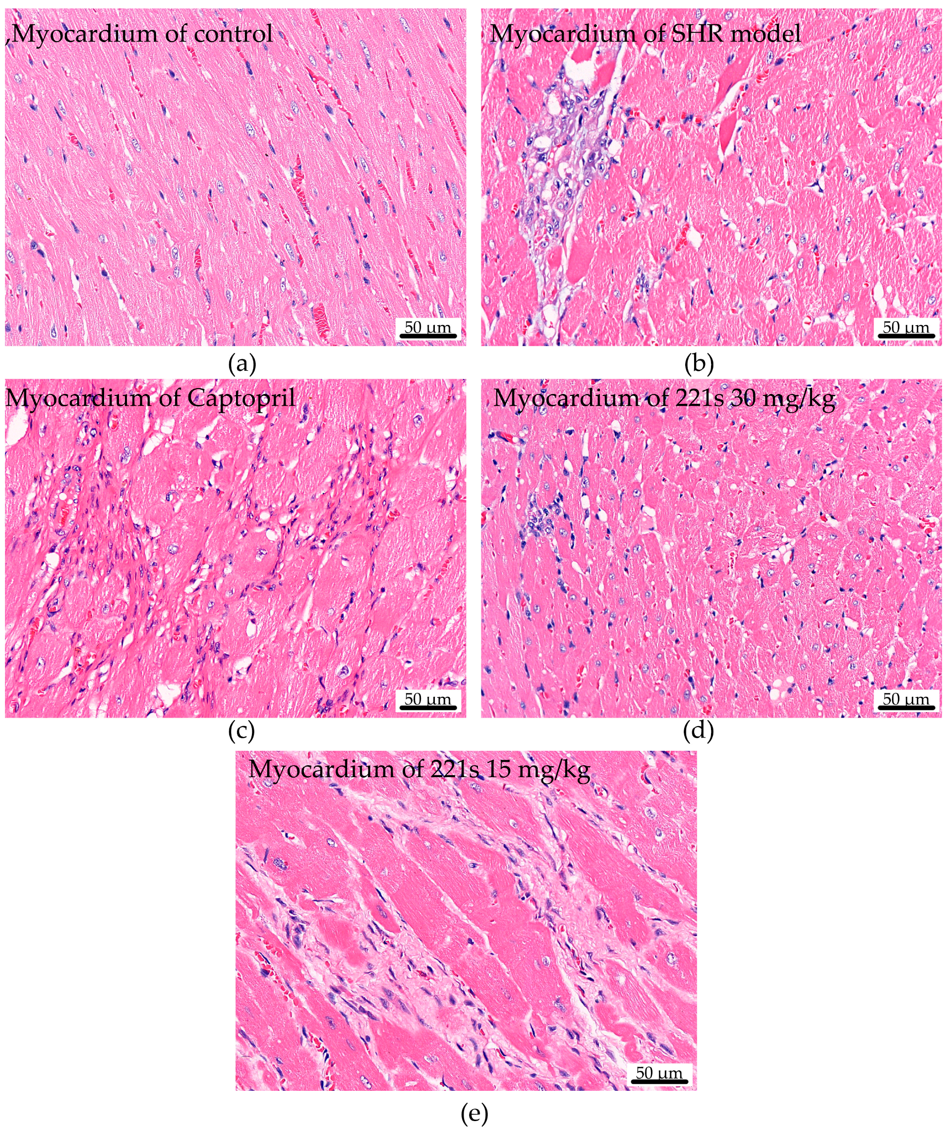 Molecules 28 04975 g004