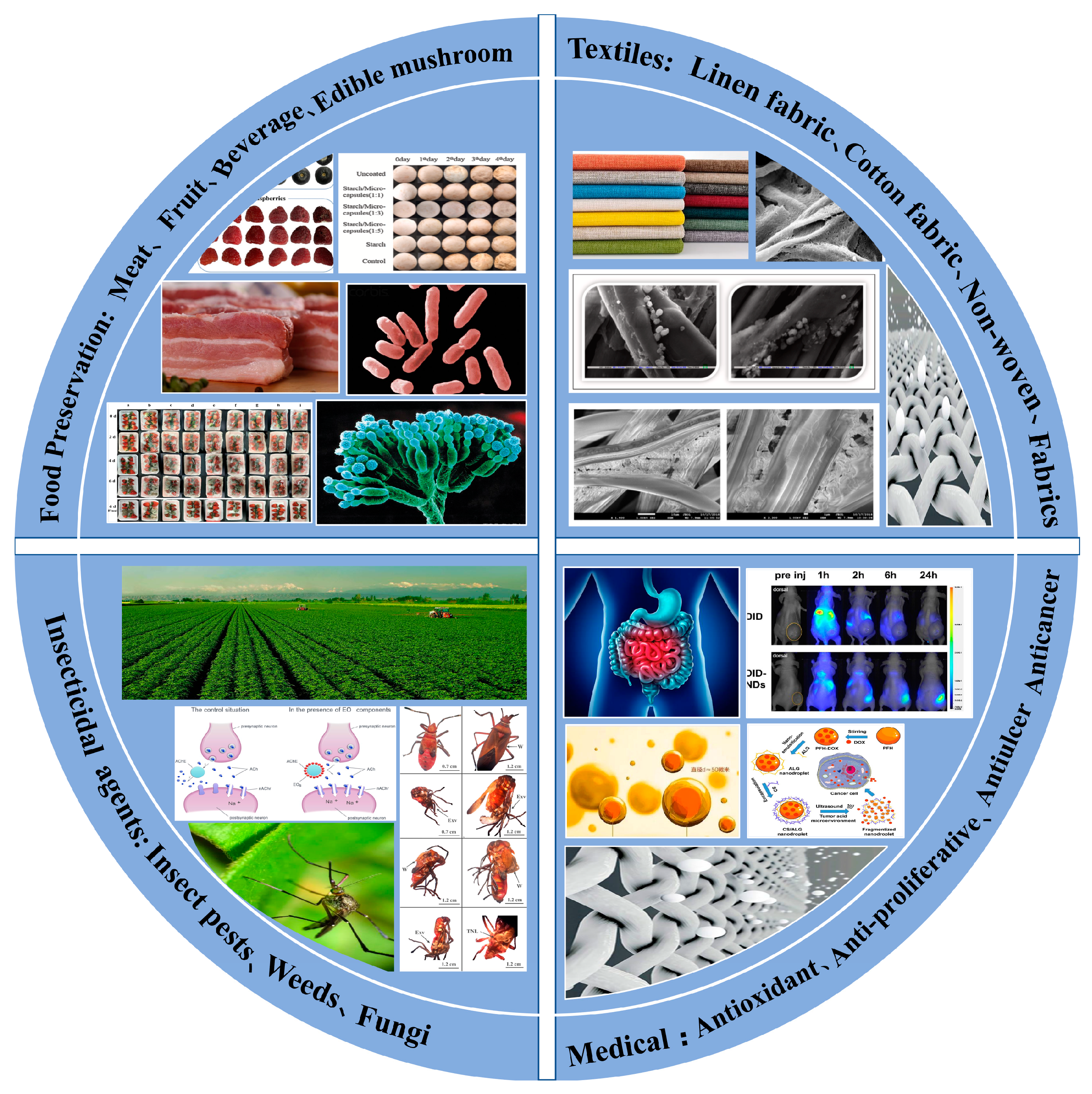 Molecules 28 04979 g001