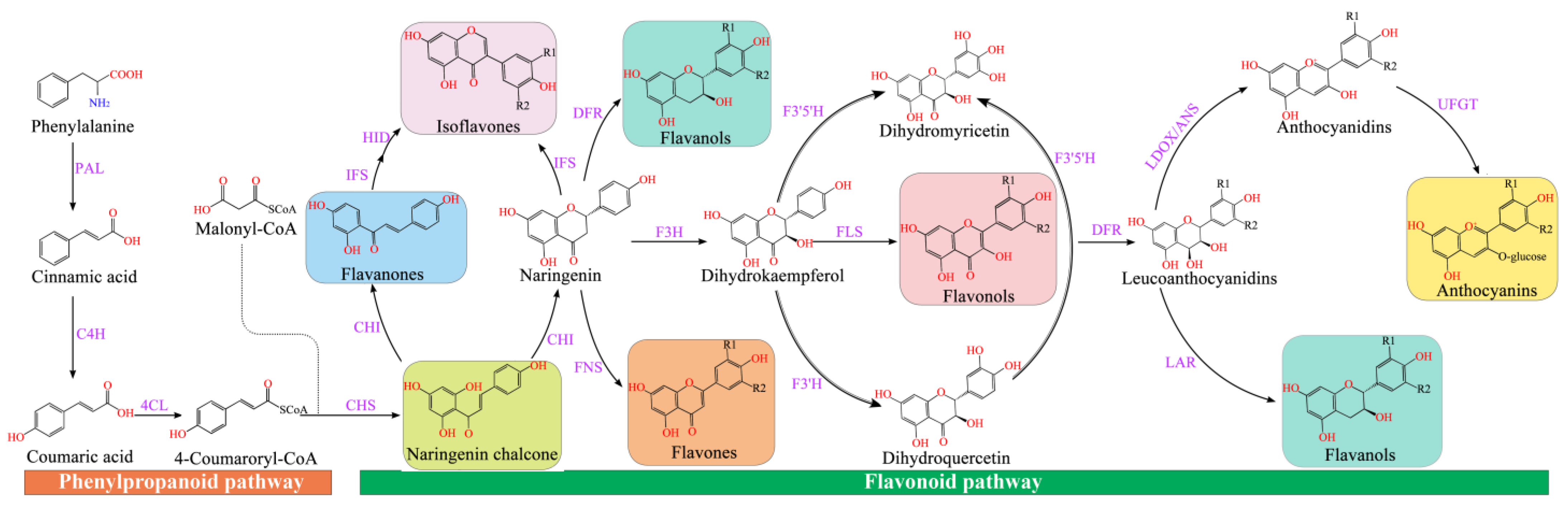 Molecules 28 04982 g002