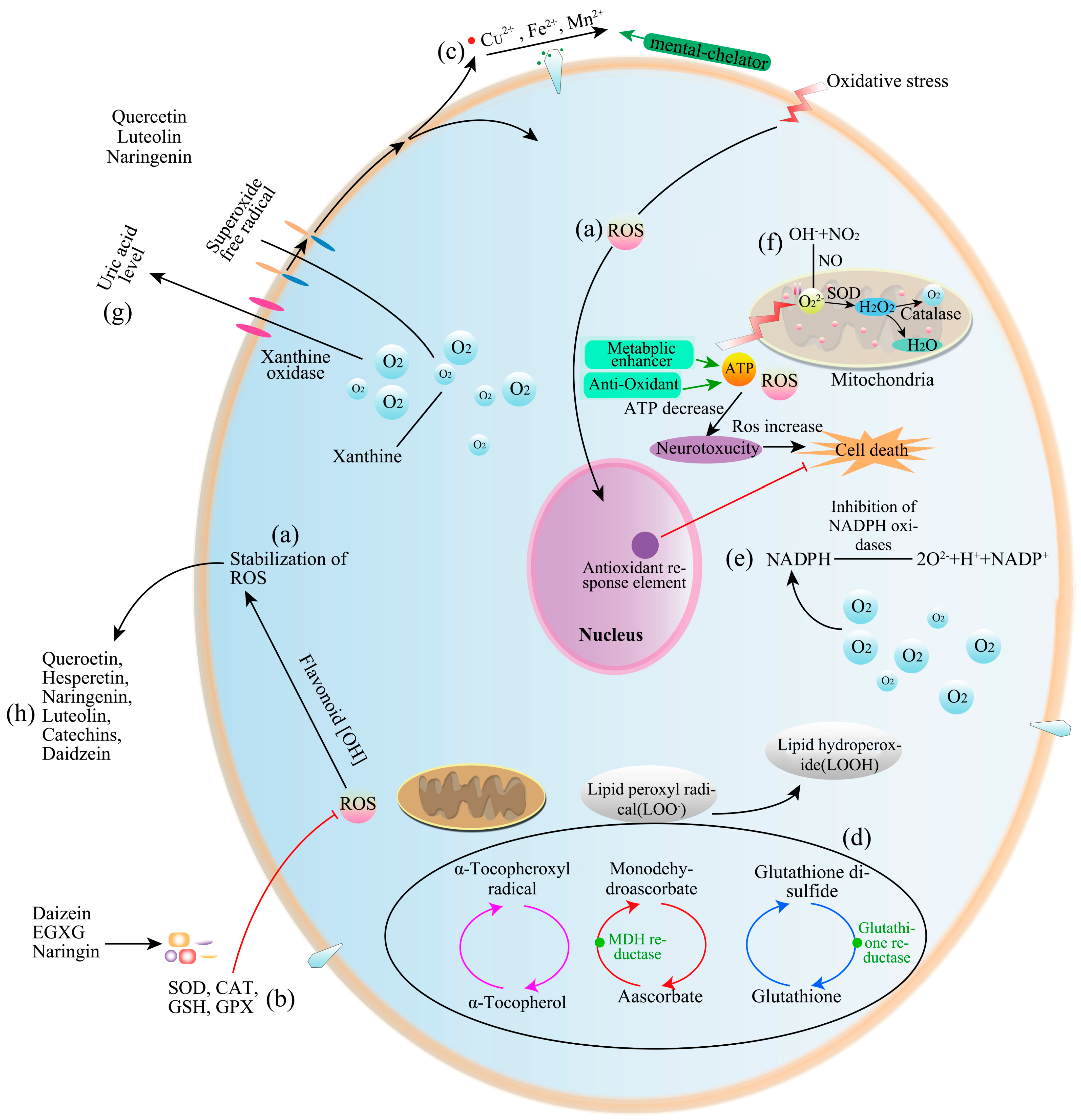 Molecules 28 04982 g003
