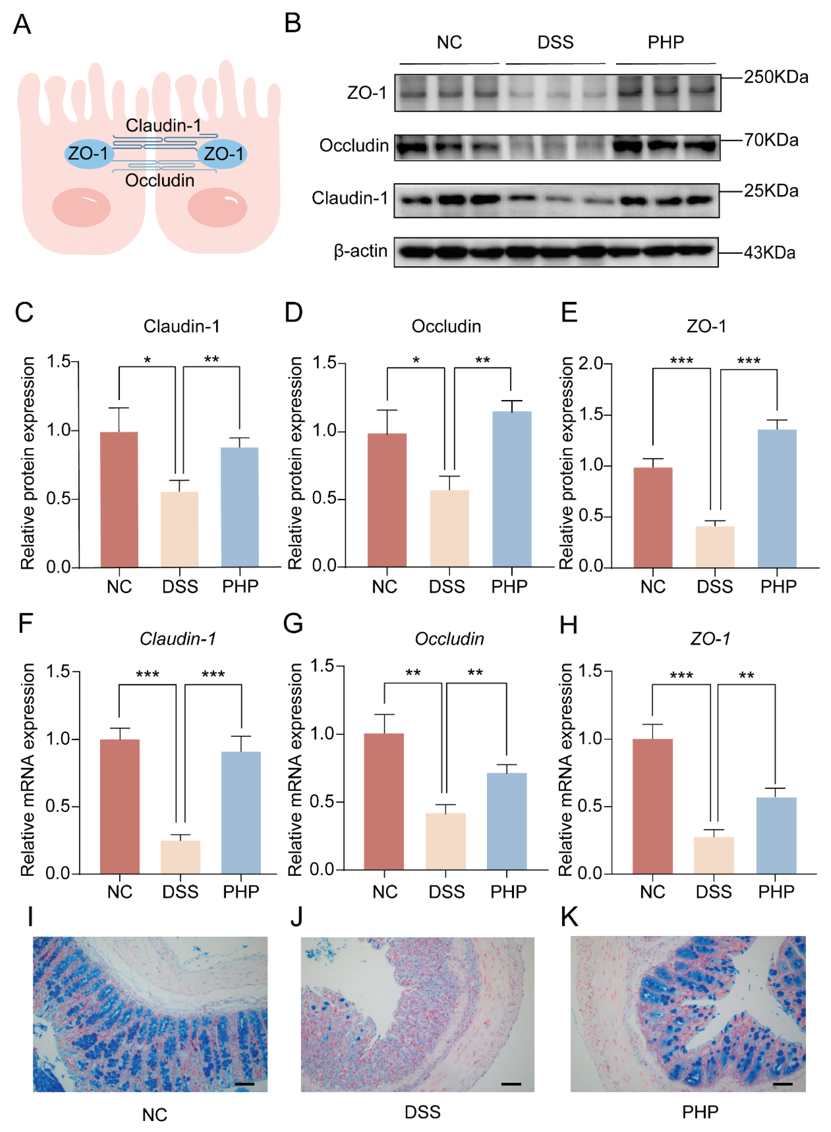 Molecules 28 04984 g003 Molecules 28 04984 g003