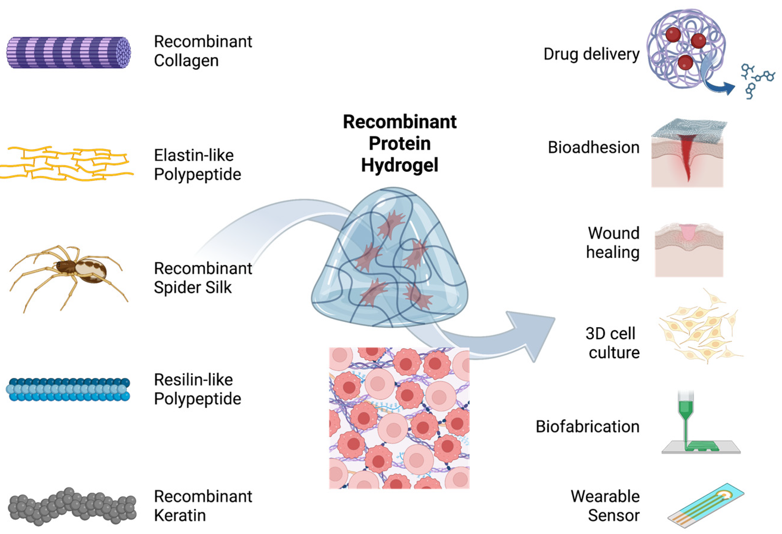 Molecules 28 04988 g003