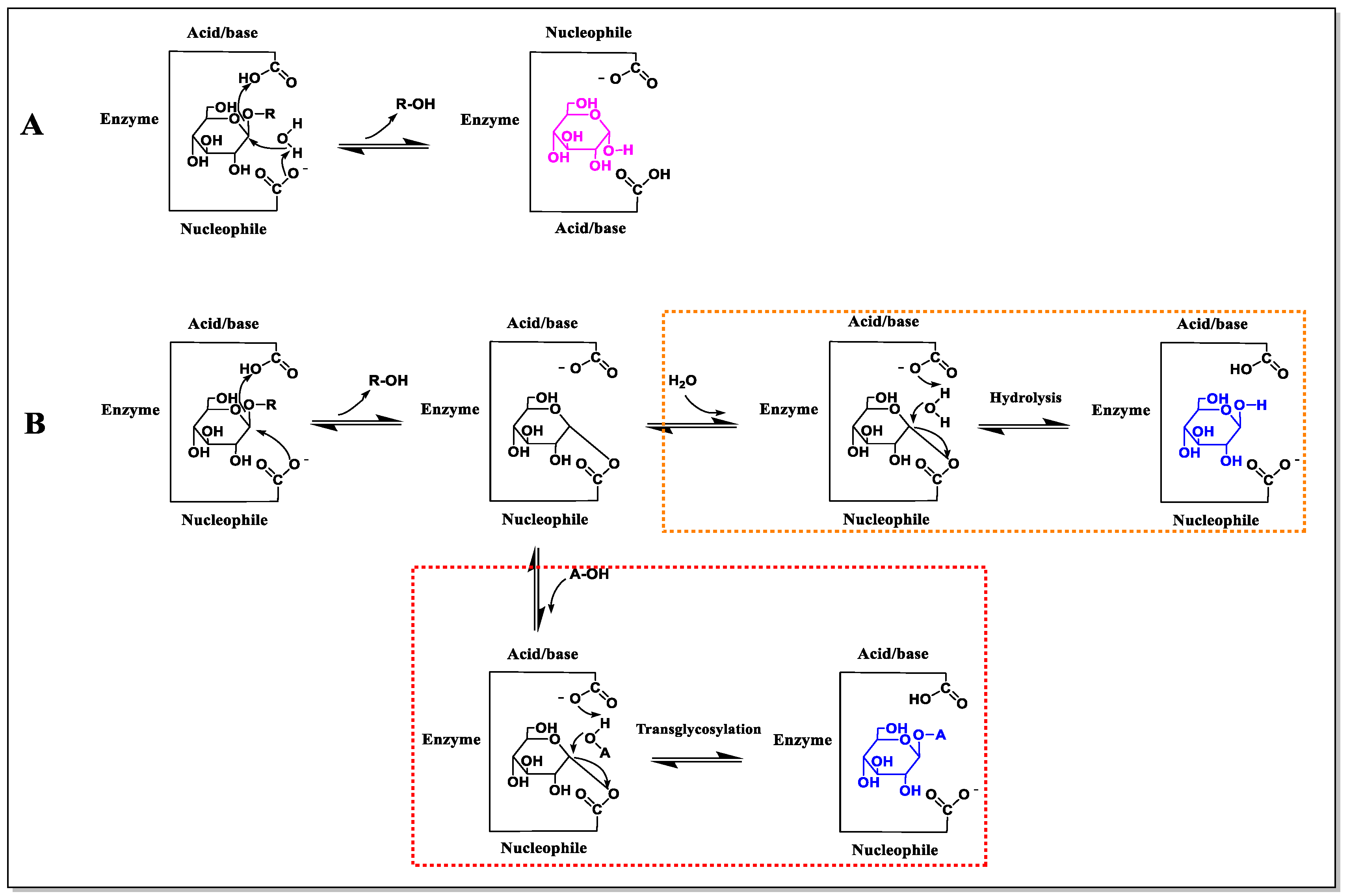Molecules 28 04990 g002