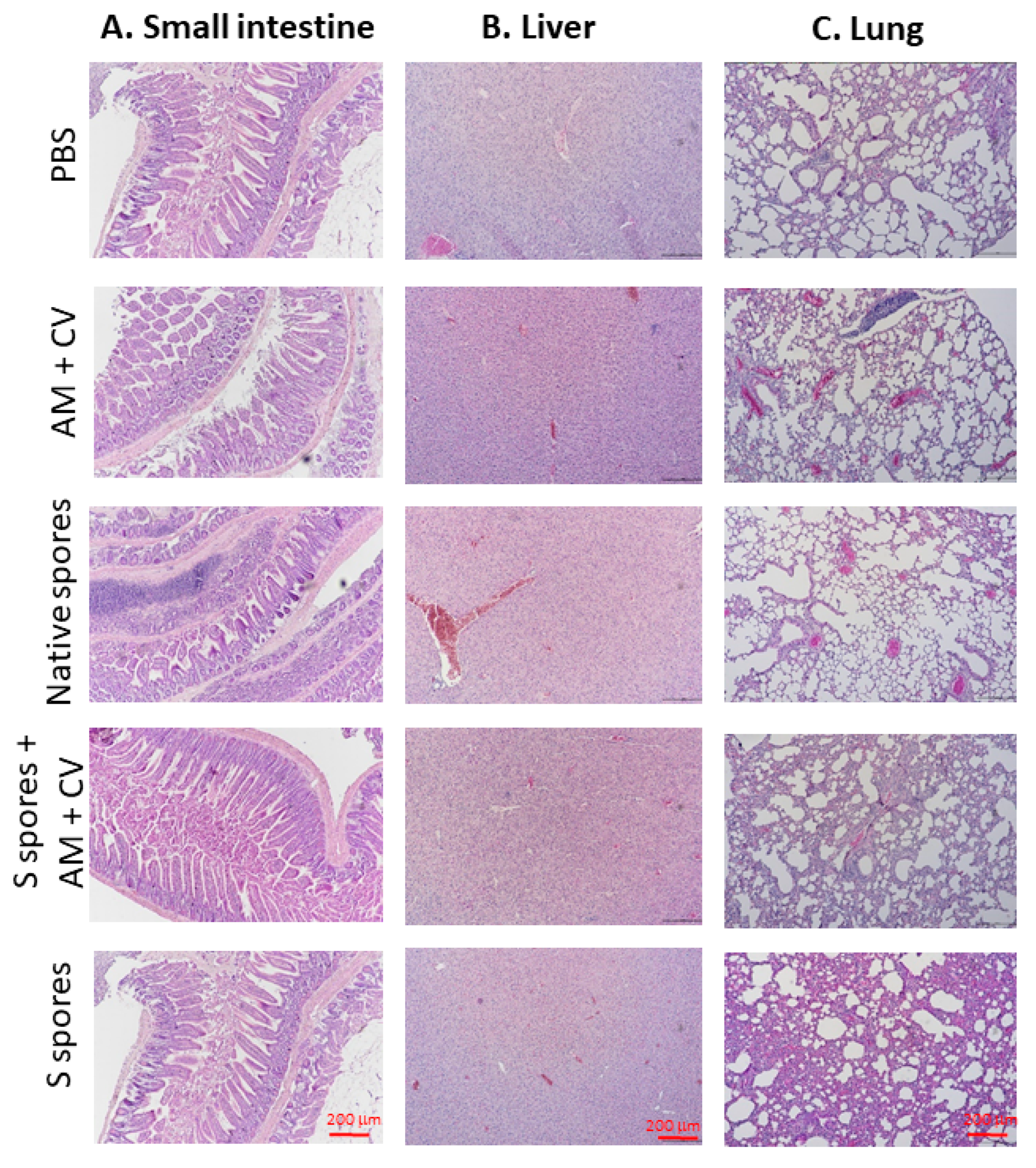 Molecules 28 04996 g007