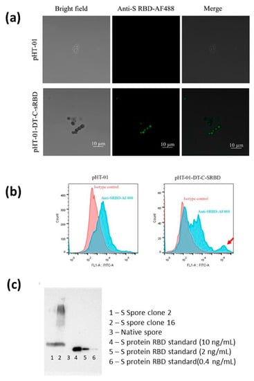 Molecules 28 04996 g0a1