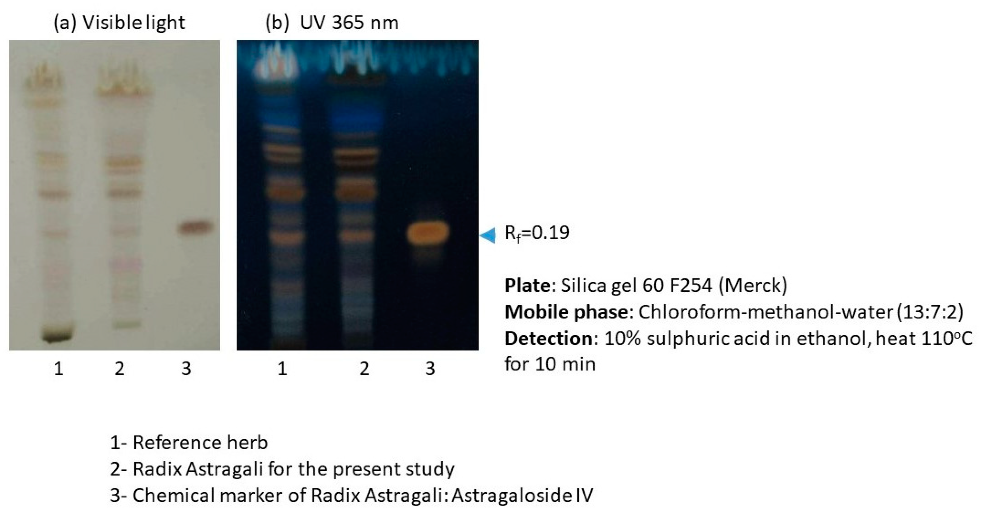 Molecules 28 04996 g0a3