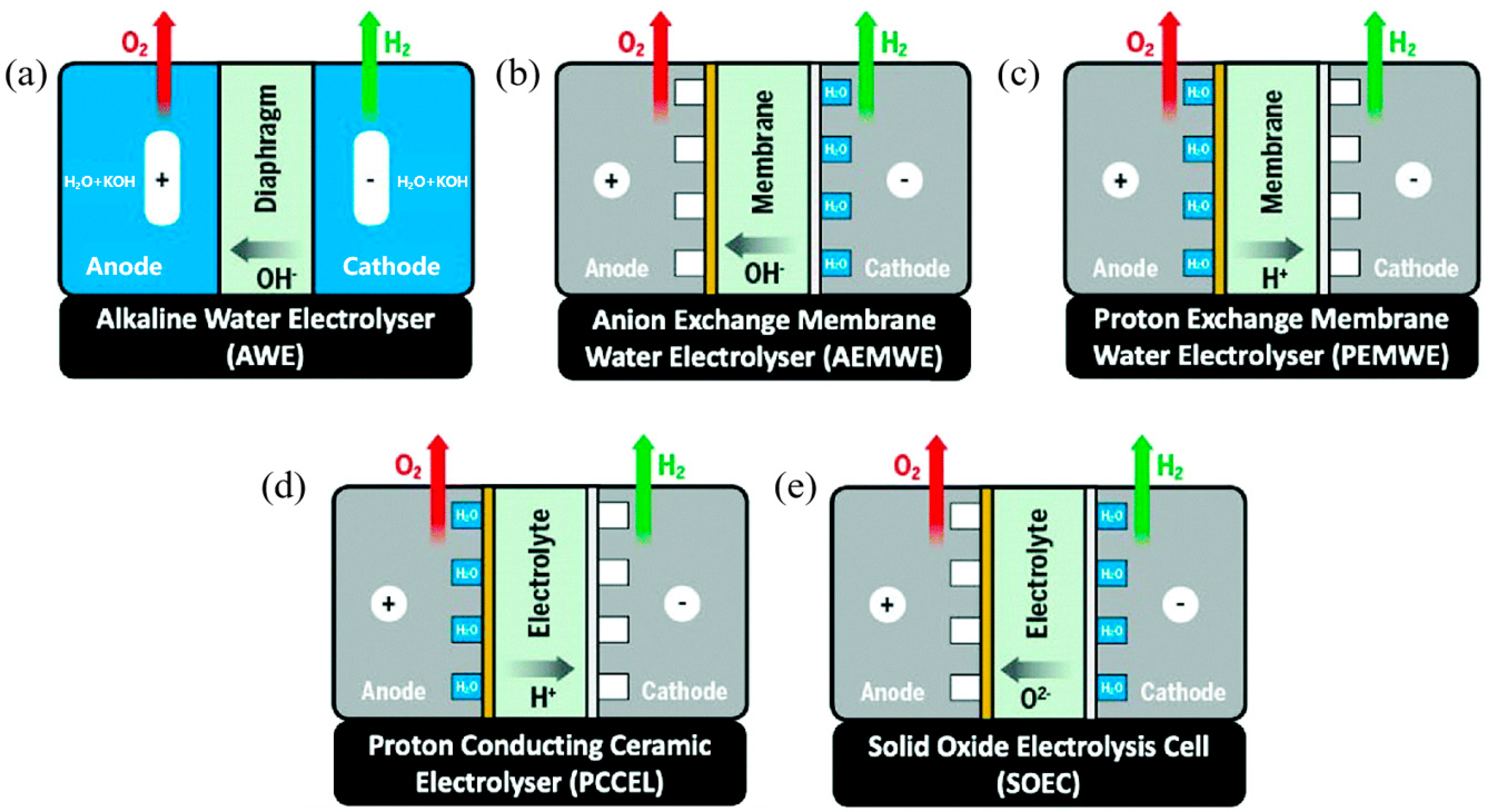 Molecules 28 05010 g001