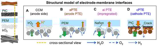 Molecules 28 05010 g008