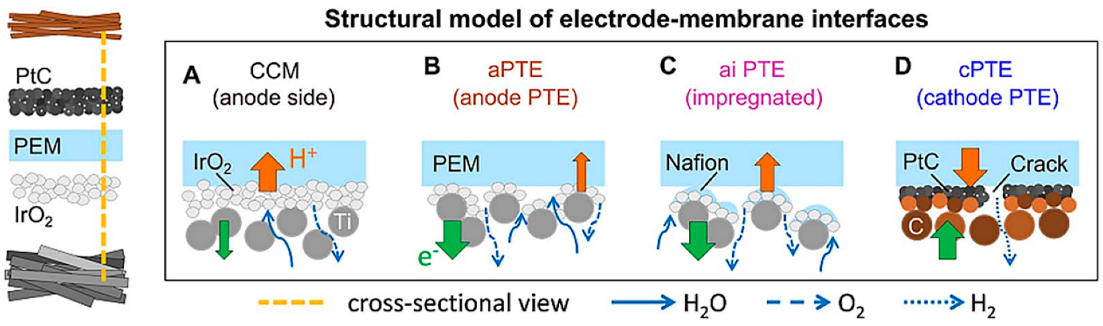 Molecules 28 05010 g008